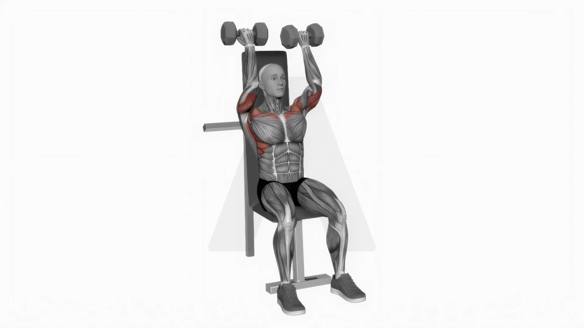 Dumbbell Seated Reverse Close Grip Press exercise demonstration