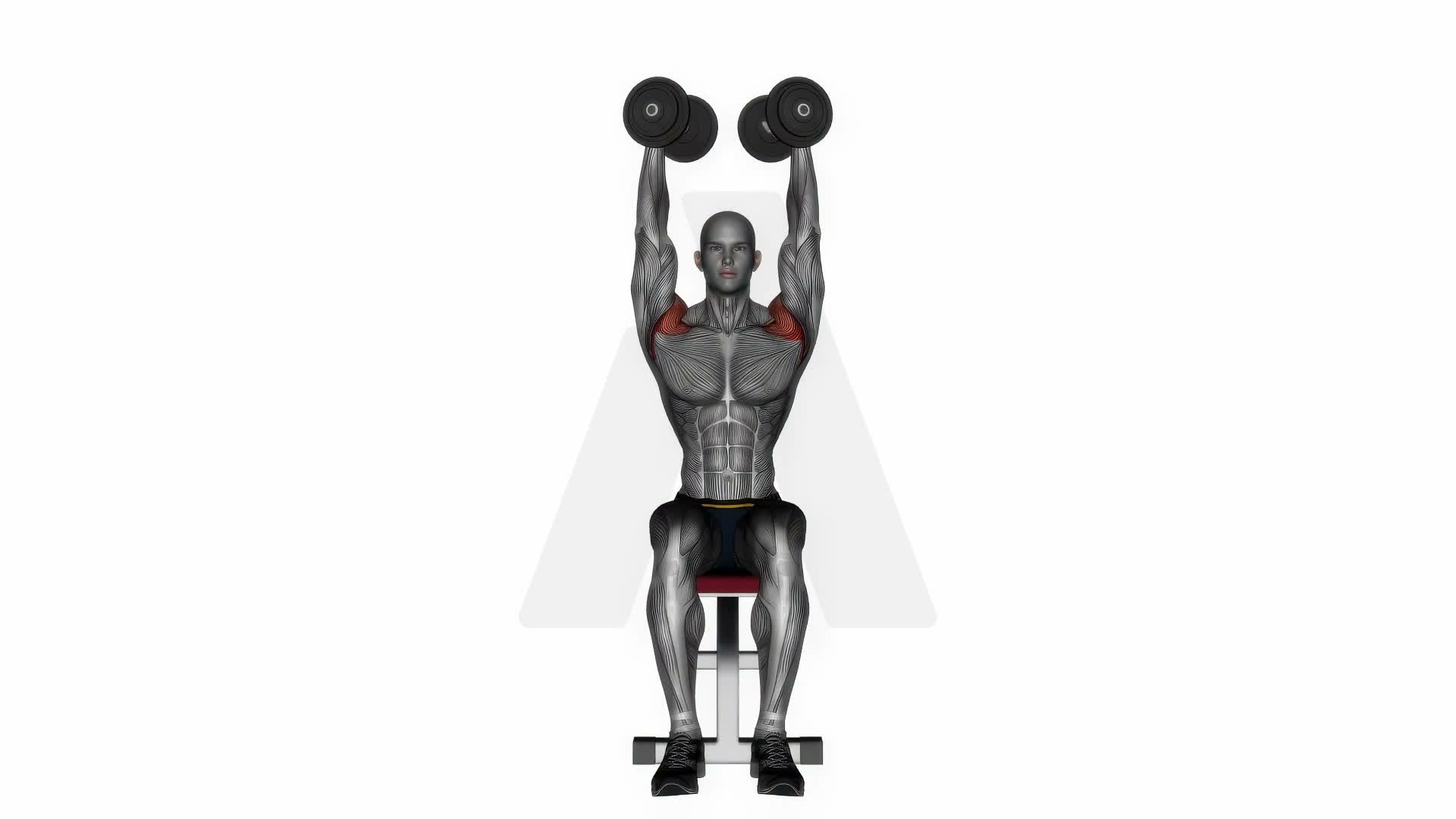 Dumbbell Seated Shoulder Press Parallel Grip exercise demonstration