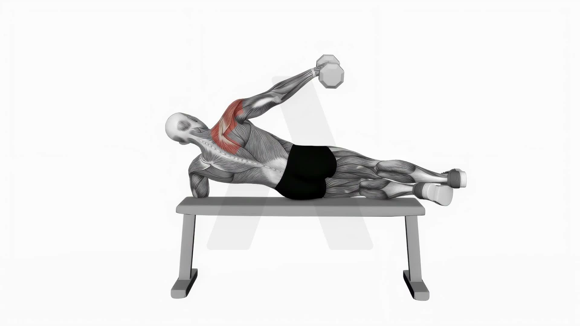 Dumbbell Side Lying One Hand Raise exercise demonstration
