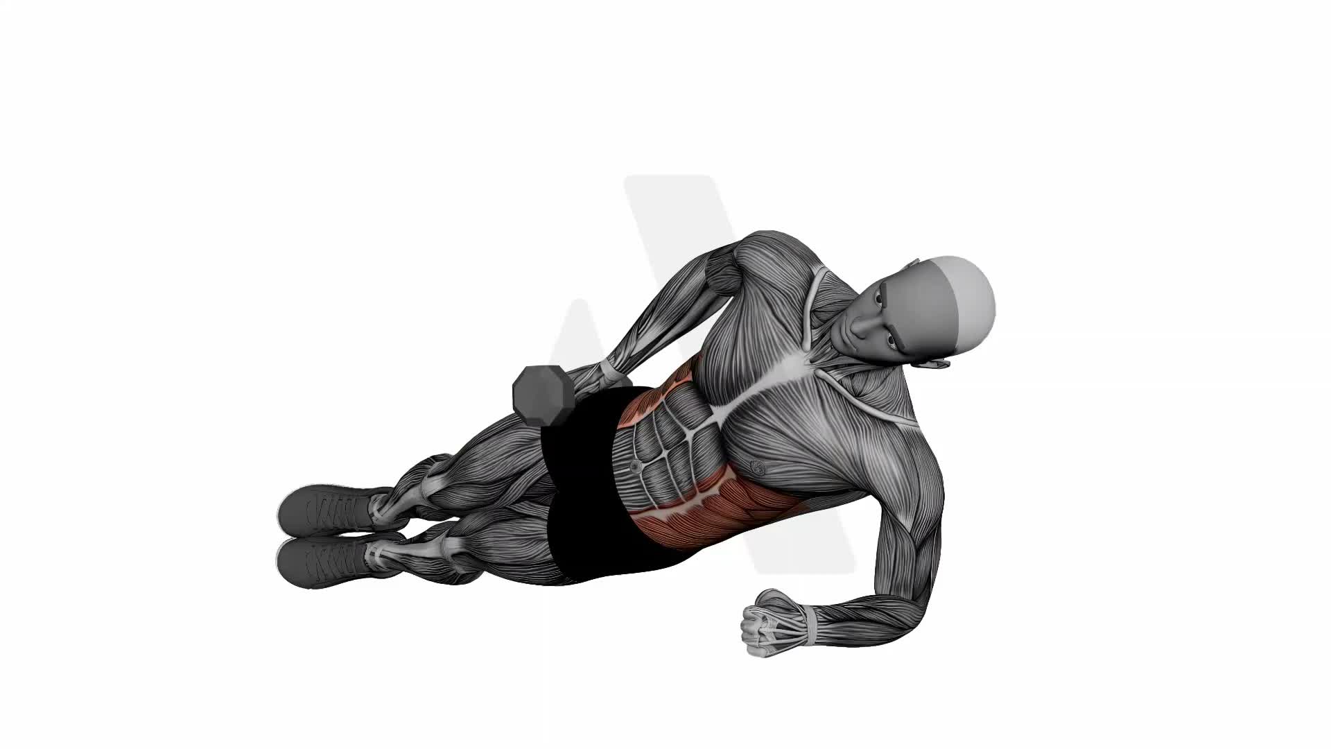 Dumbbell Side Plank Up Down exercise demonstration