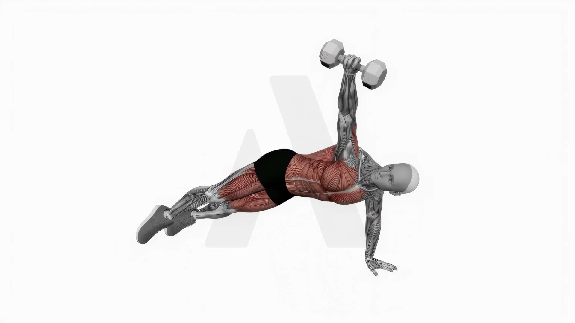 Dumbbell Side Plank With Rear Fly exercise demonstration