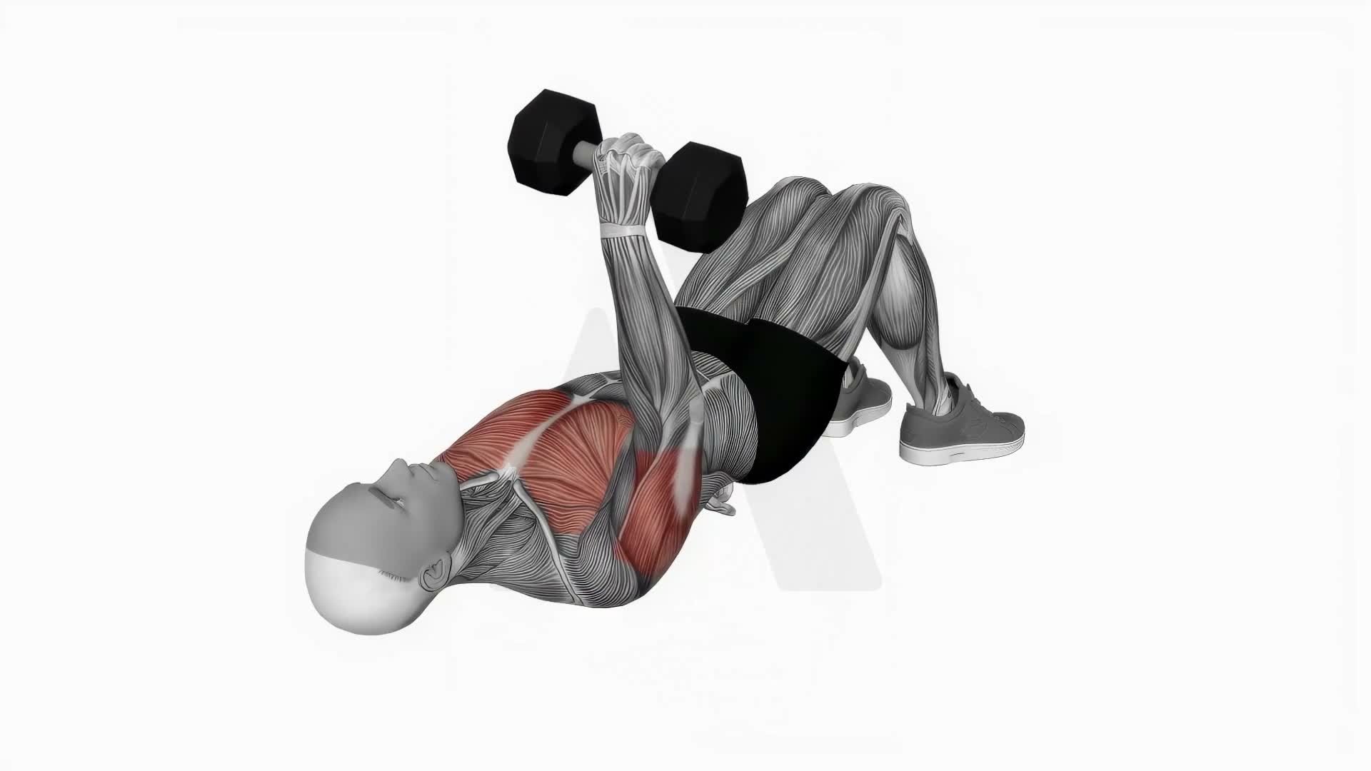 Dumbbell Single Arm Floor Press exercise demonstration