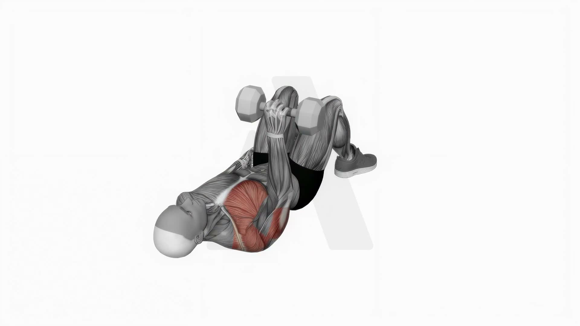 Dumbbell Single Arm Floor Press From Close Elbow exercise demonstration