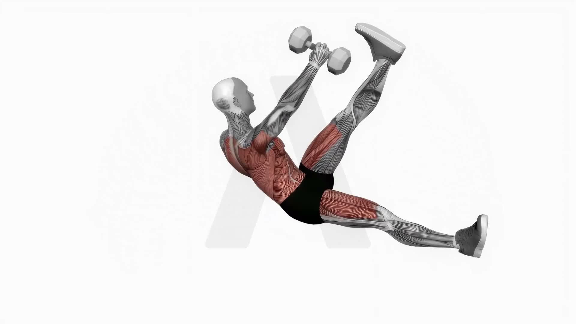 Dumbbell Single Arm Starfish Crunch exercise demonstration