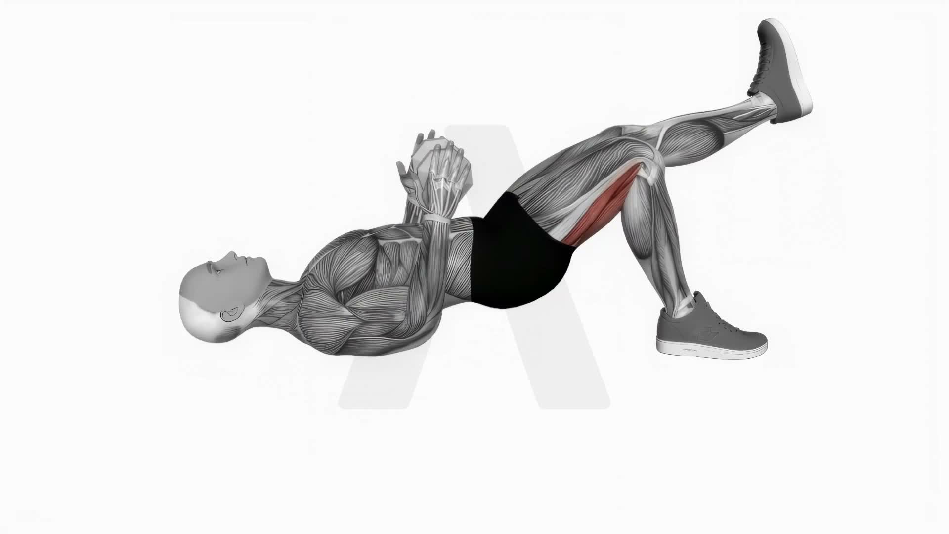 Dumbbell Single Leg Glute Bridge exercise demonstration