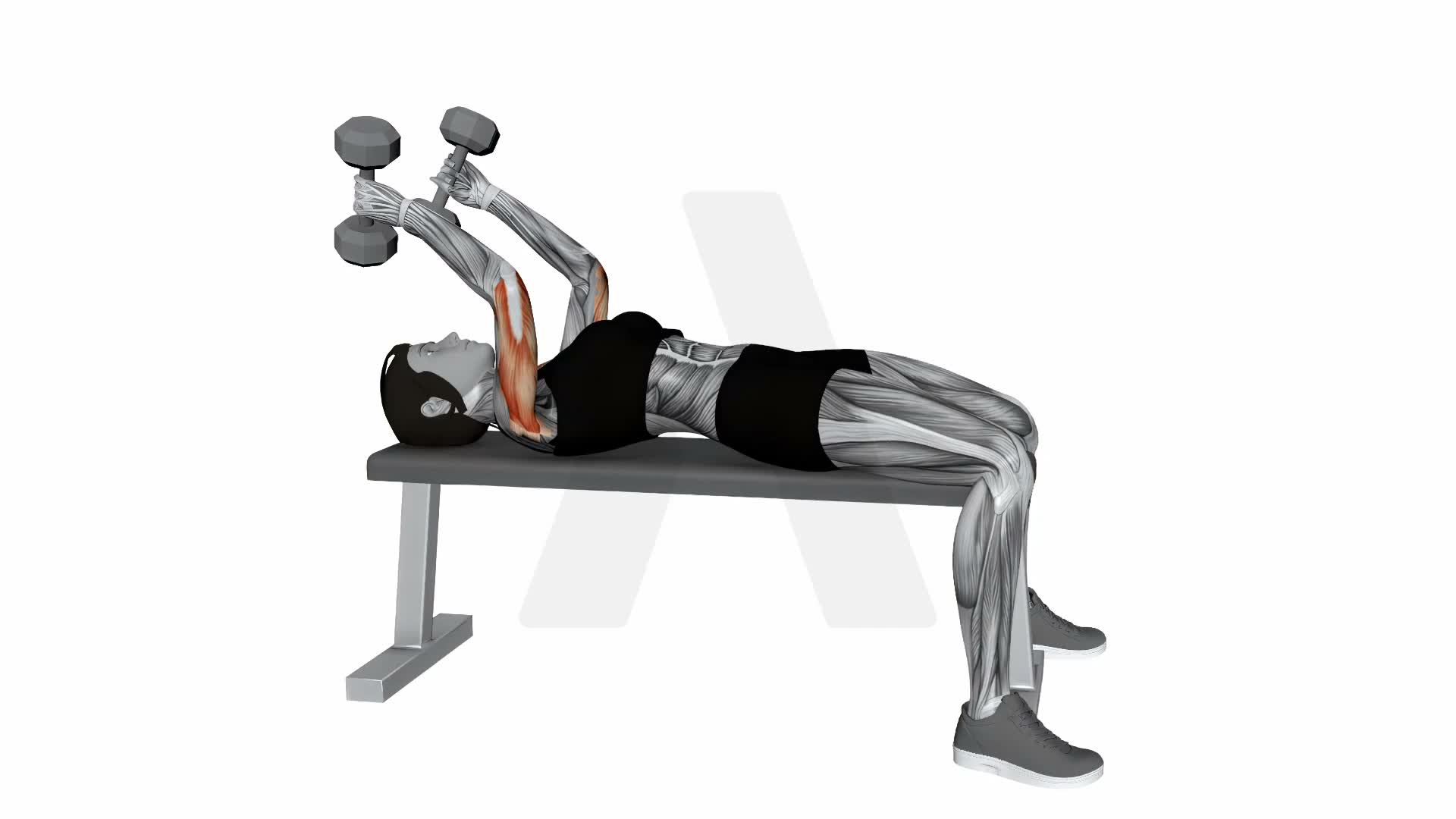 Dumbbell Skull Crusher exercise demonstration