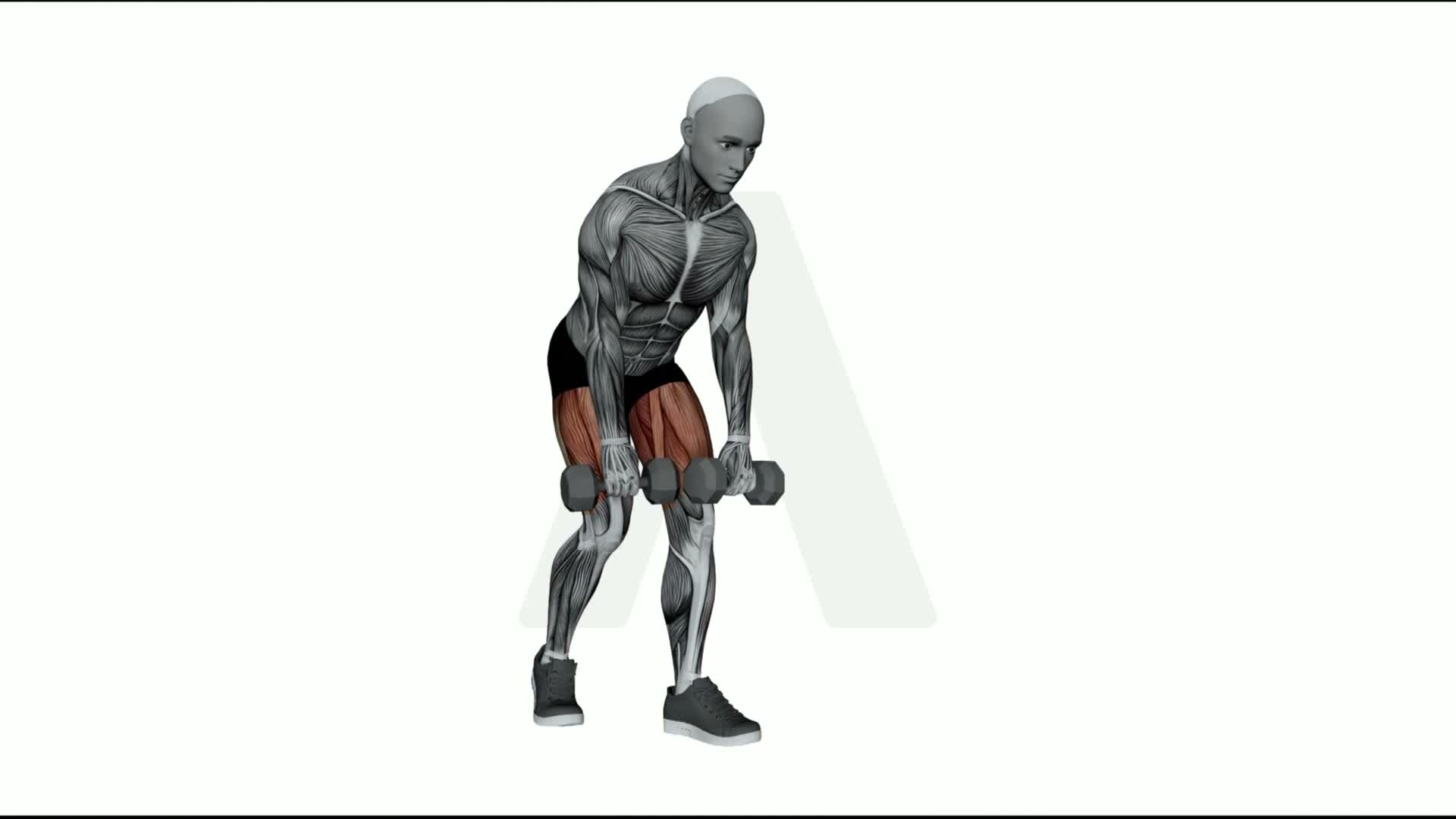 Dumbbell Staggered Deadlift exercise demonstration