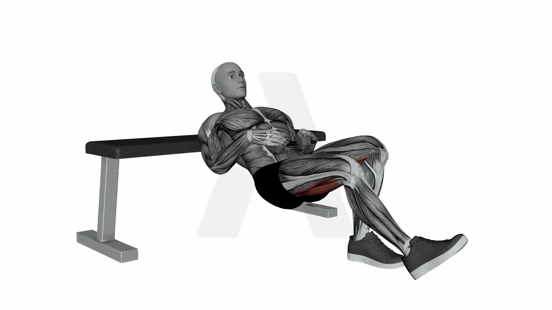 Dumbbell Staggered Hip Thrust exercise demonstration