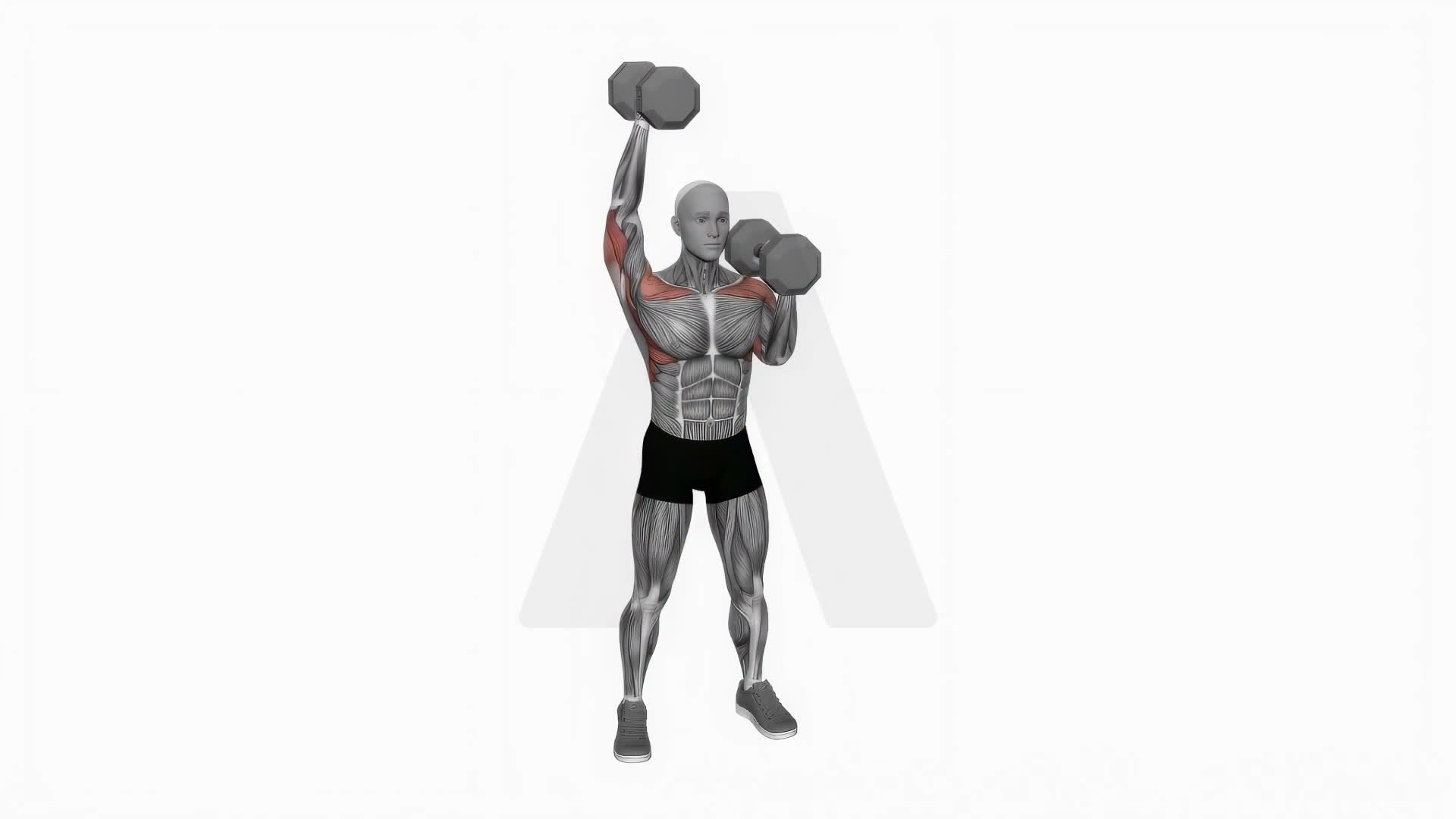 Dumbbell Standing Alternate Overhead Press exercise demonstration