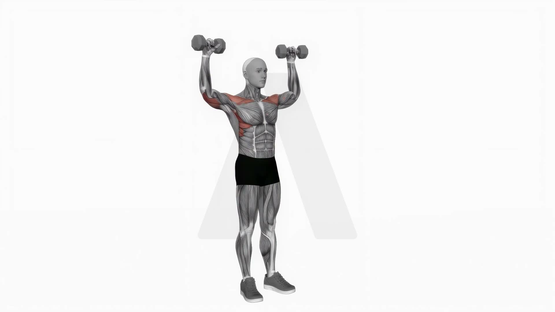 Dumbbell Standing Behind Back Shoulders Press exercise demonstration