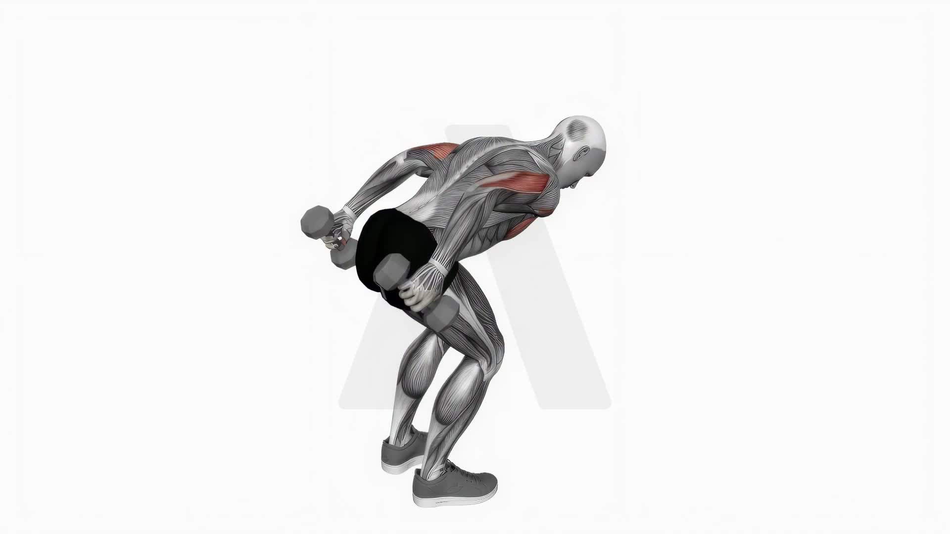 Dumbbell Standing Both Arms Kickback exercise demonstration