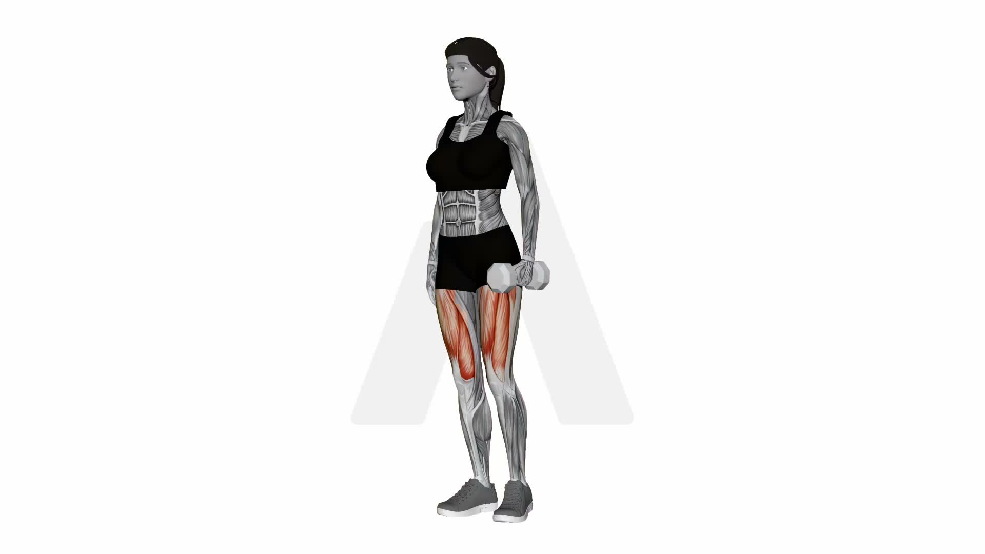 Dumbbell Standing Hip Abduction exercise demonstration