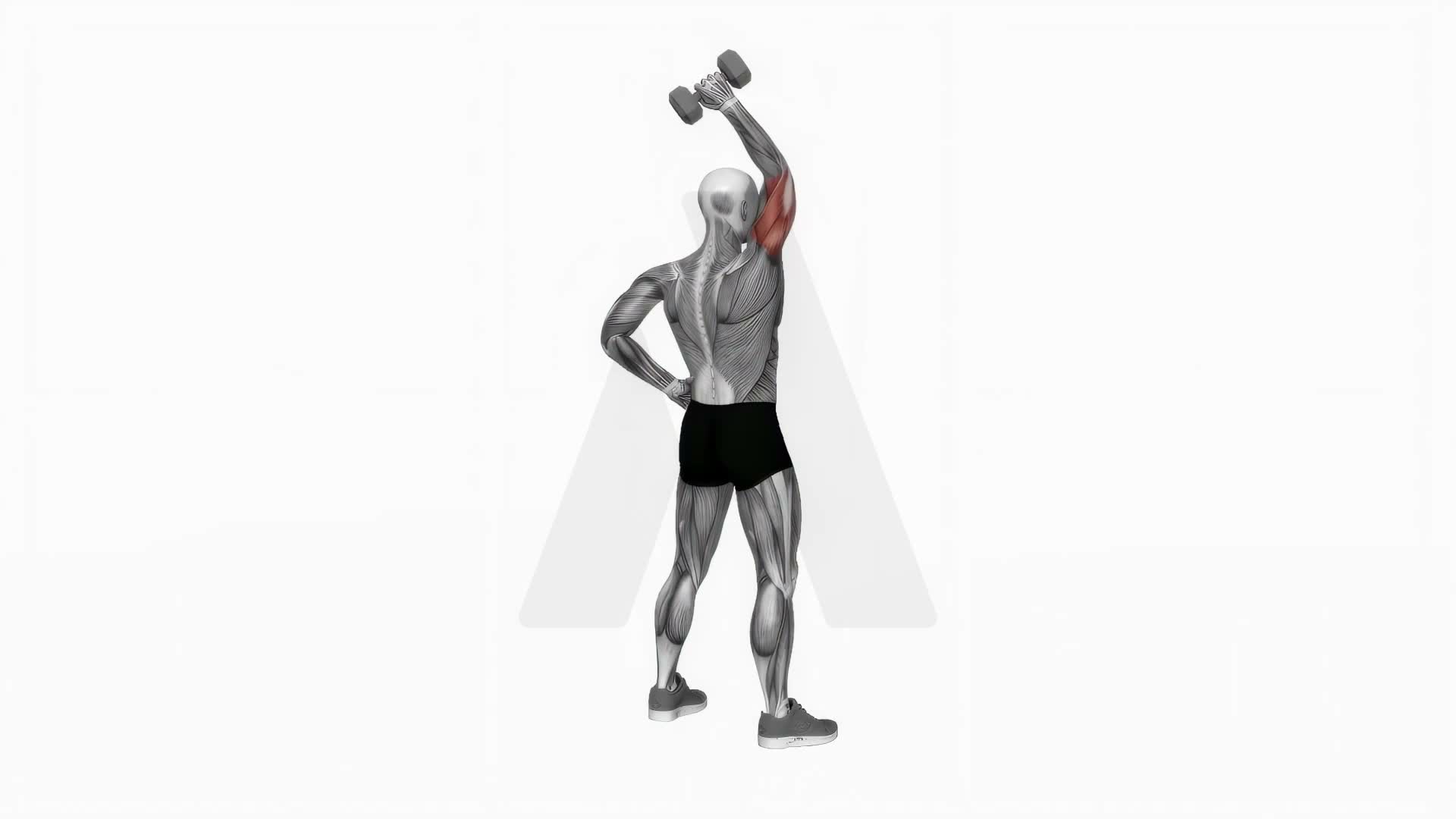 Dumbbell Standing One Arm Extension exercise demonstration