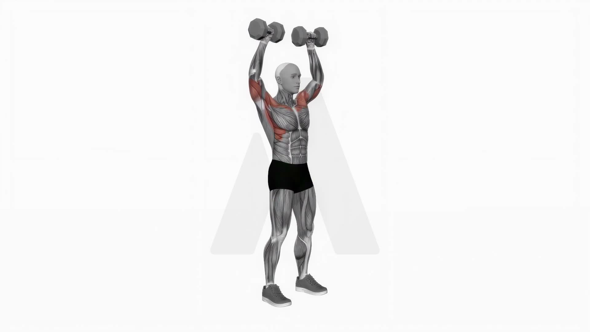 Dumbbell Standing Overhead Press exercise demonstration