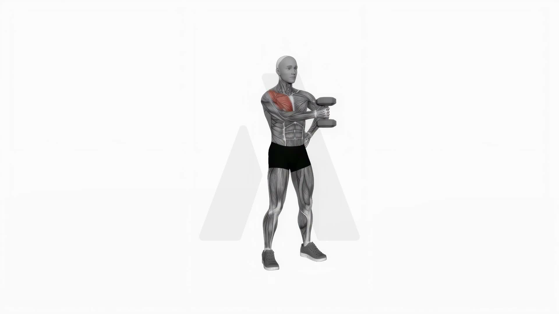 Dumbbell Standing Single Arm Cross Raise exercise demonstration