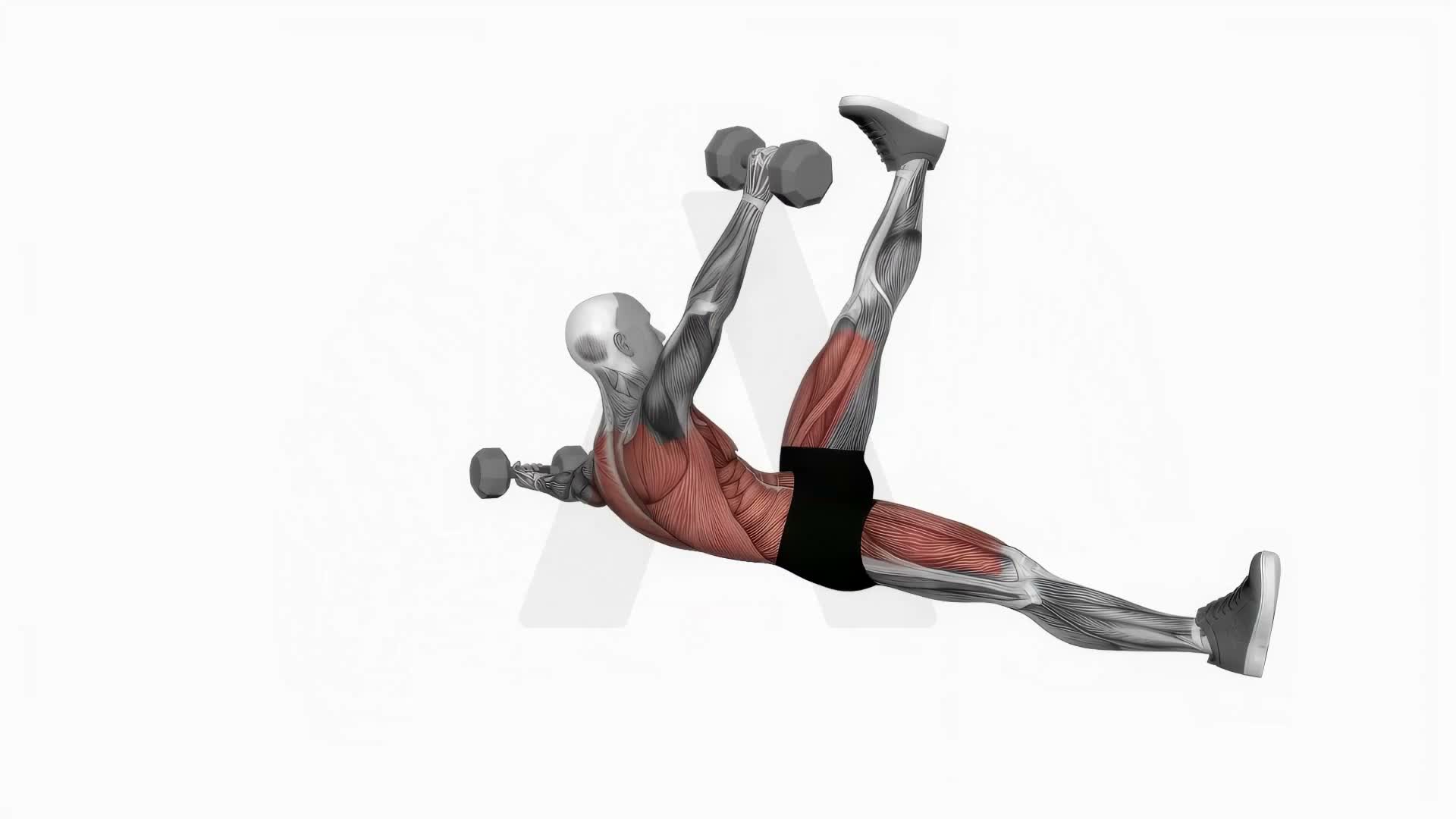 Dumbbell Starfish Crunch Alternating exercise demonstration