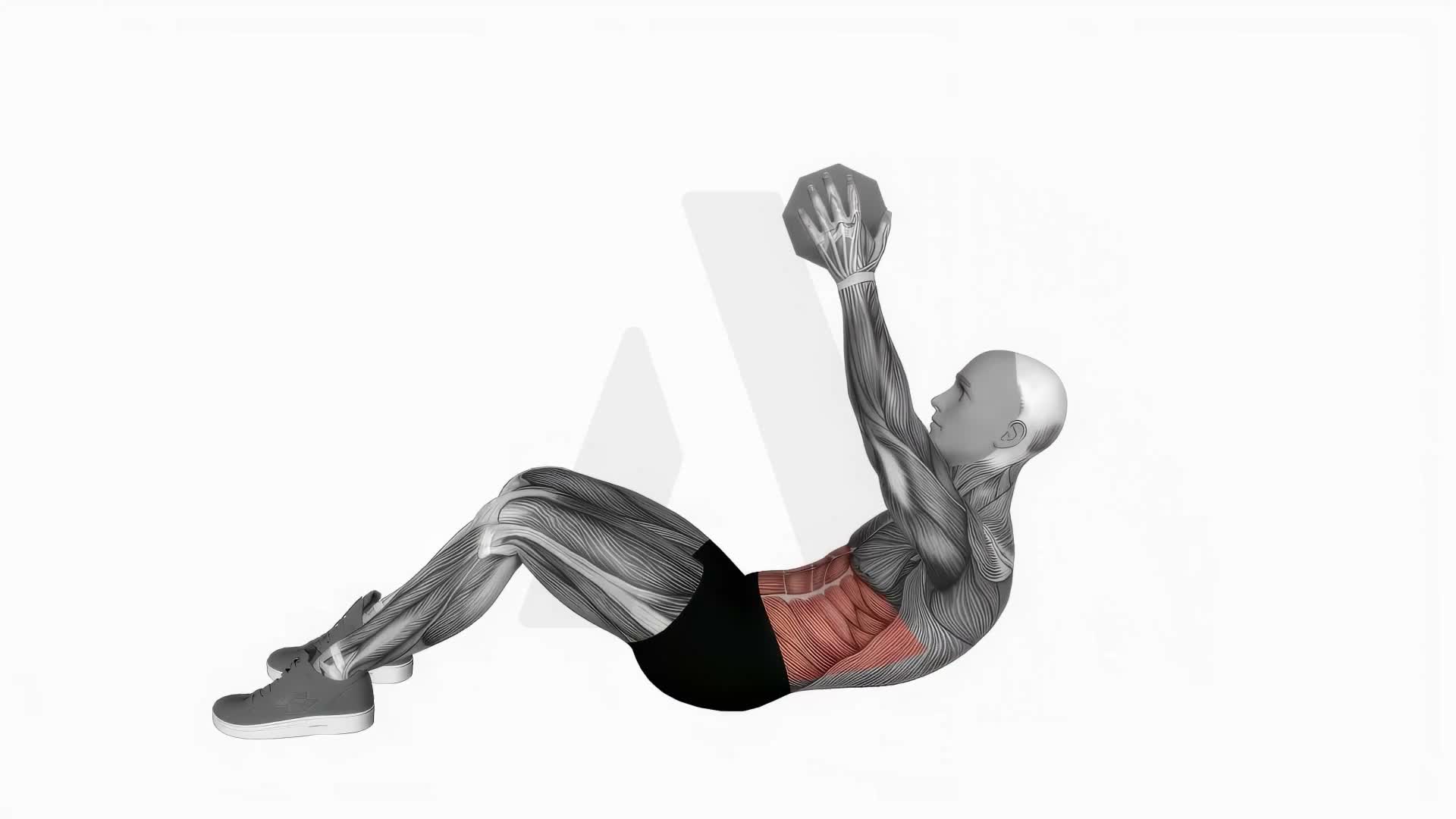 Dumbbell Straight Arm Crunch exercise demonstration