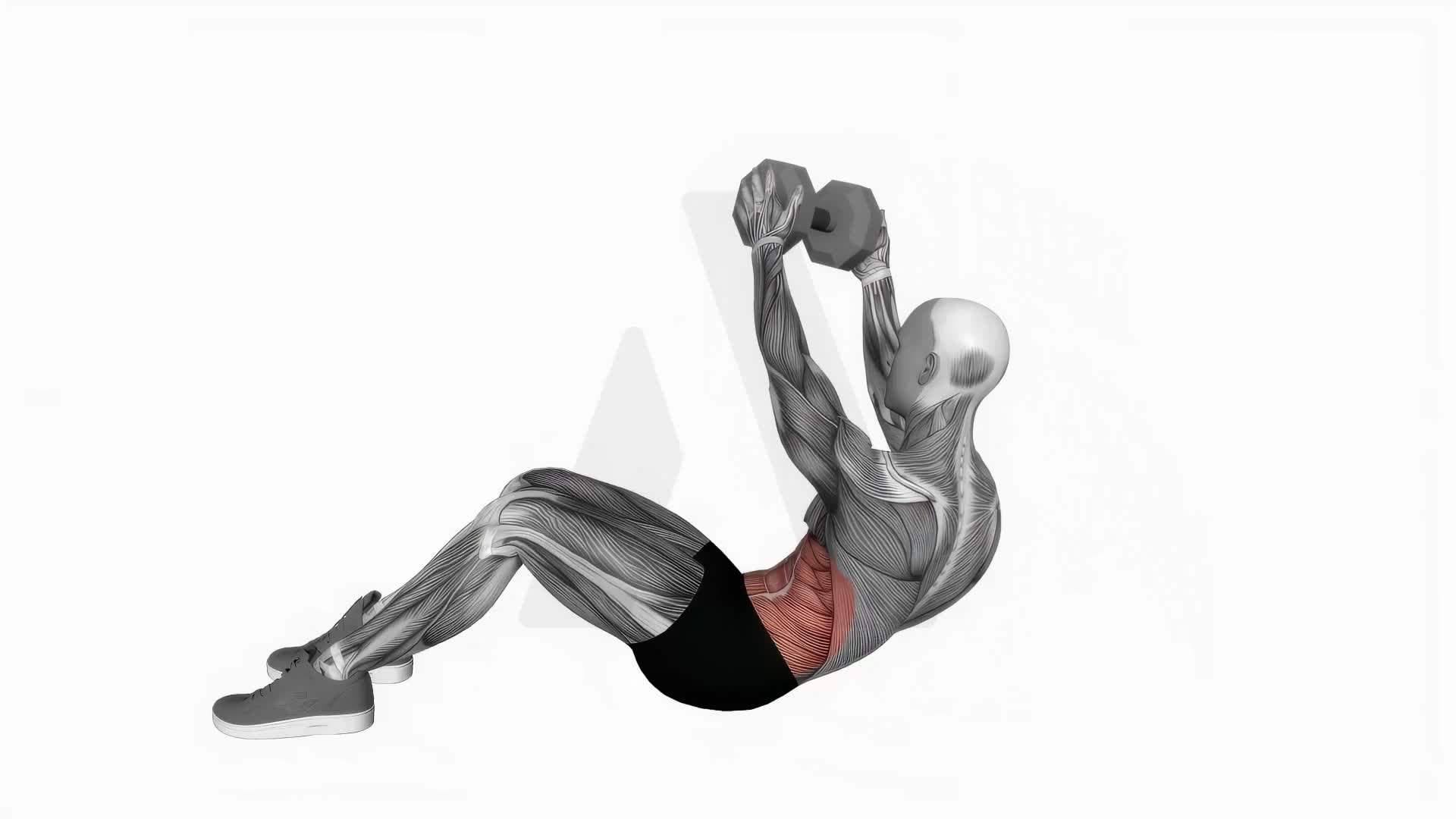 Dumbbell Straight Arm Twisting Sit Up exercise demonstration