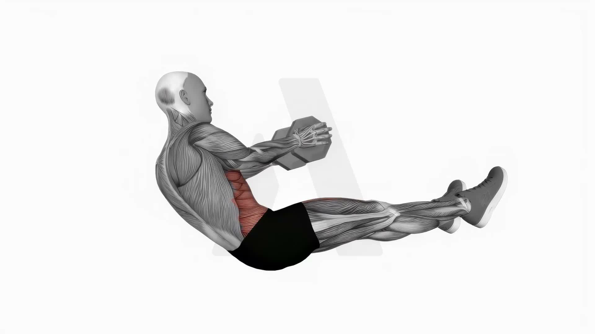 Dumbbell Straight Leg Russian Twist exercise demonstration
