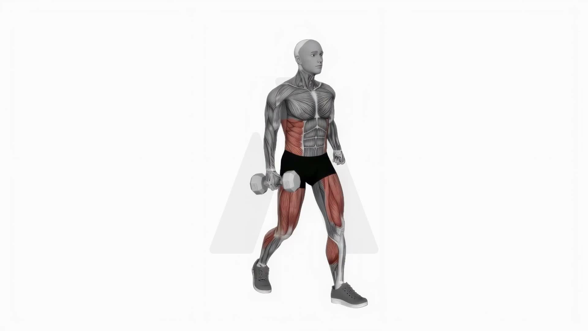 Dumbbell Suitcase Carry exercise demonstration