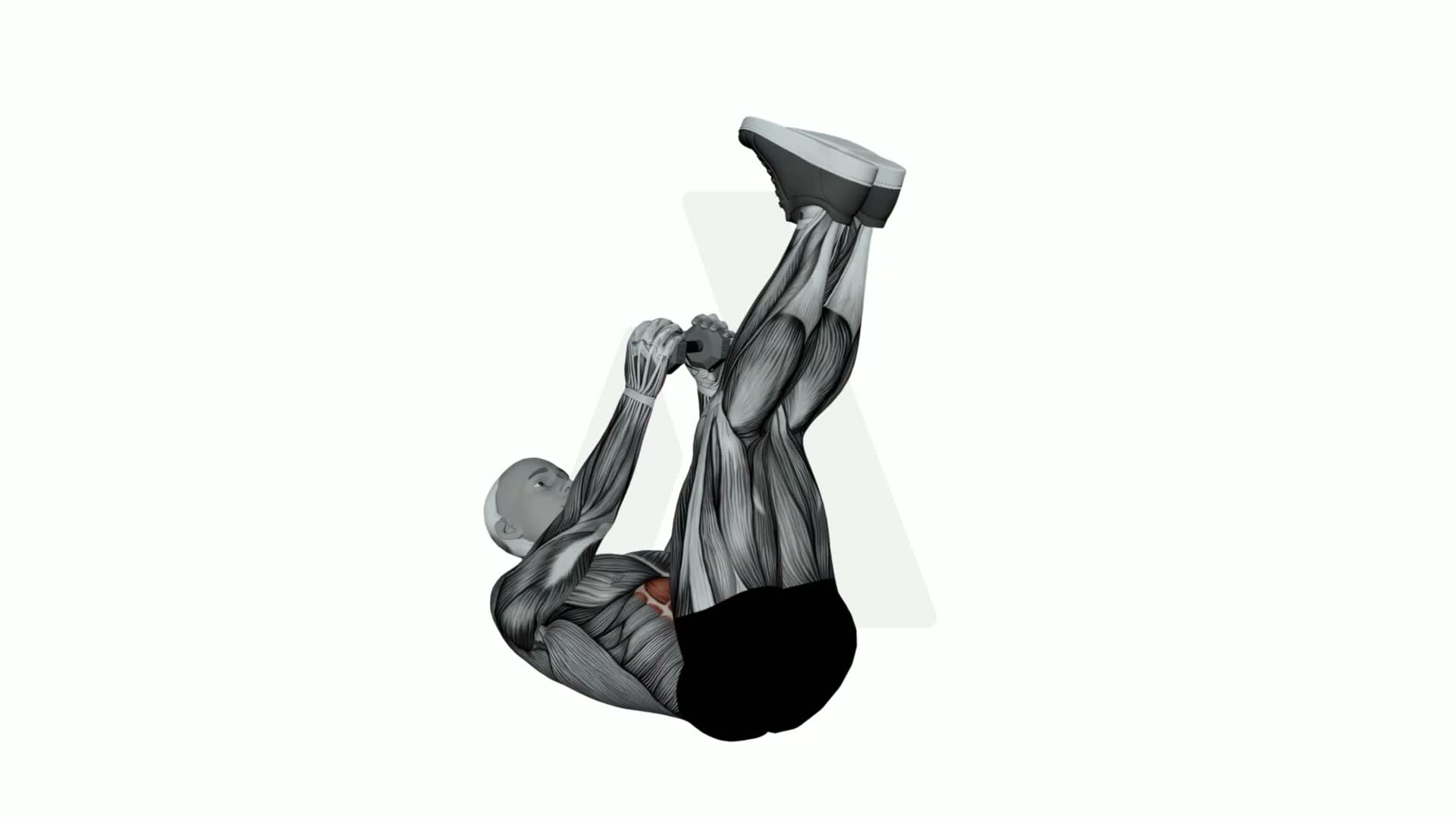 Dumbbell Suitcase Crunch exercise demonstration
