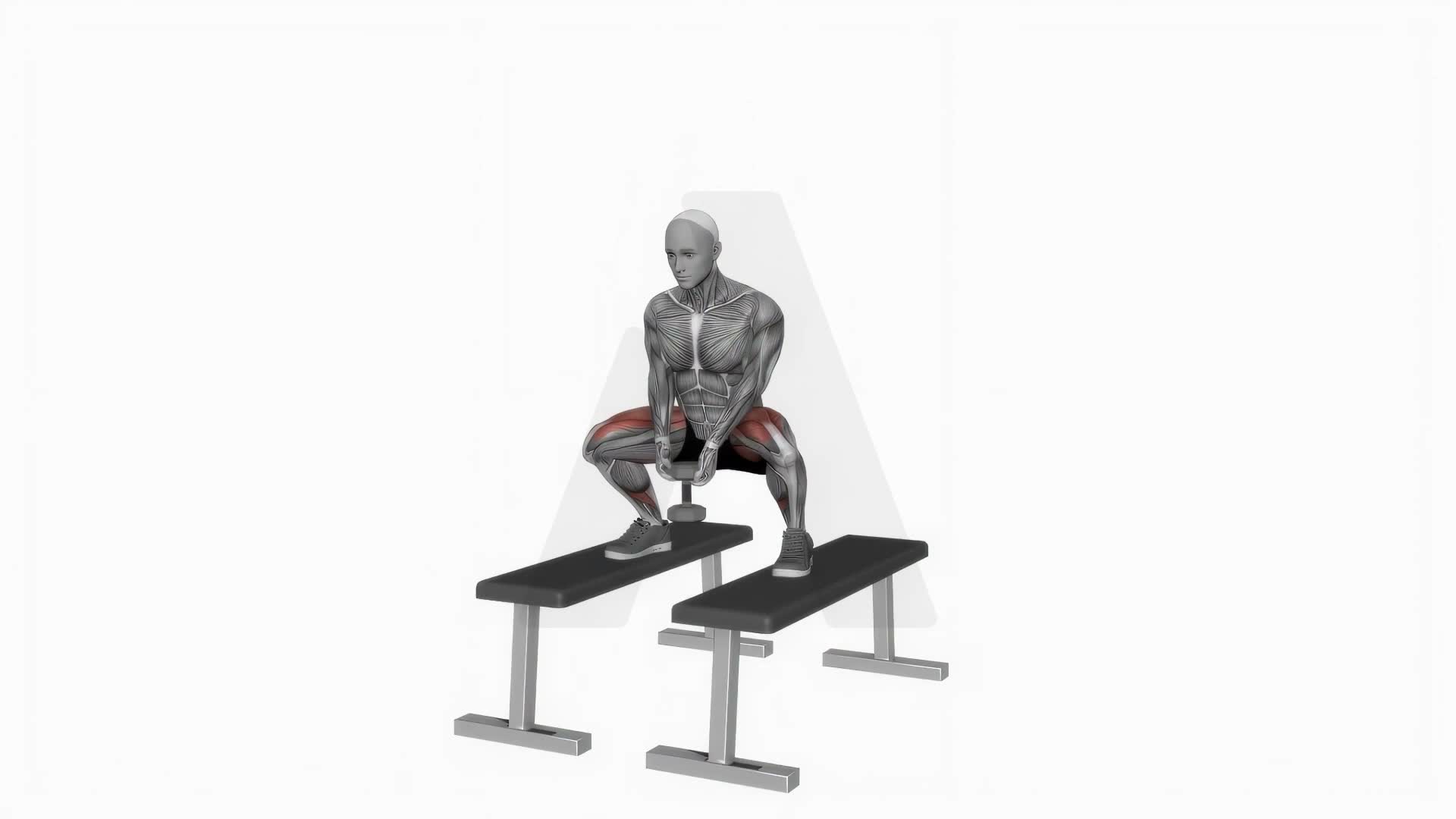 Dumbbell Sumo Squat Off Benches exercise demonstration