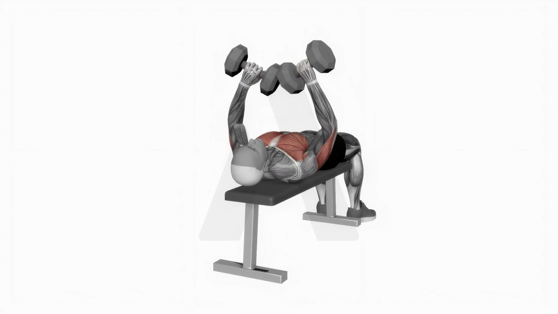 Dumbbell Tate Press exercise demonstration