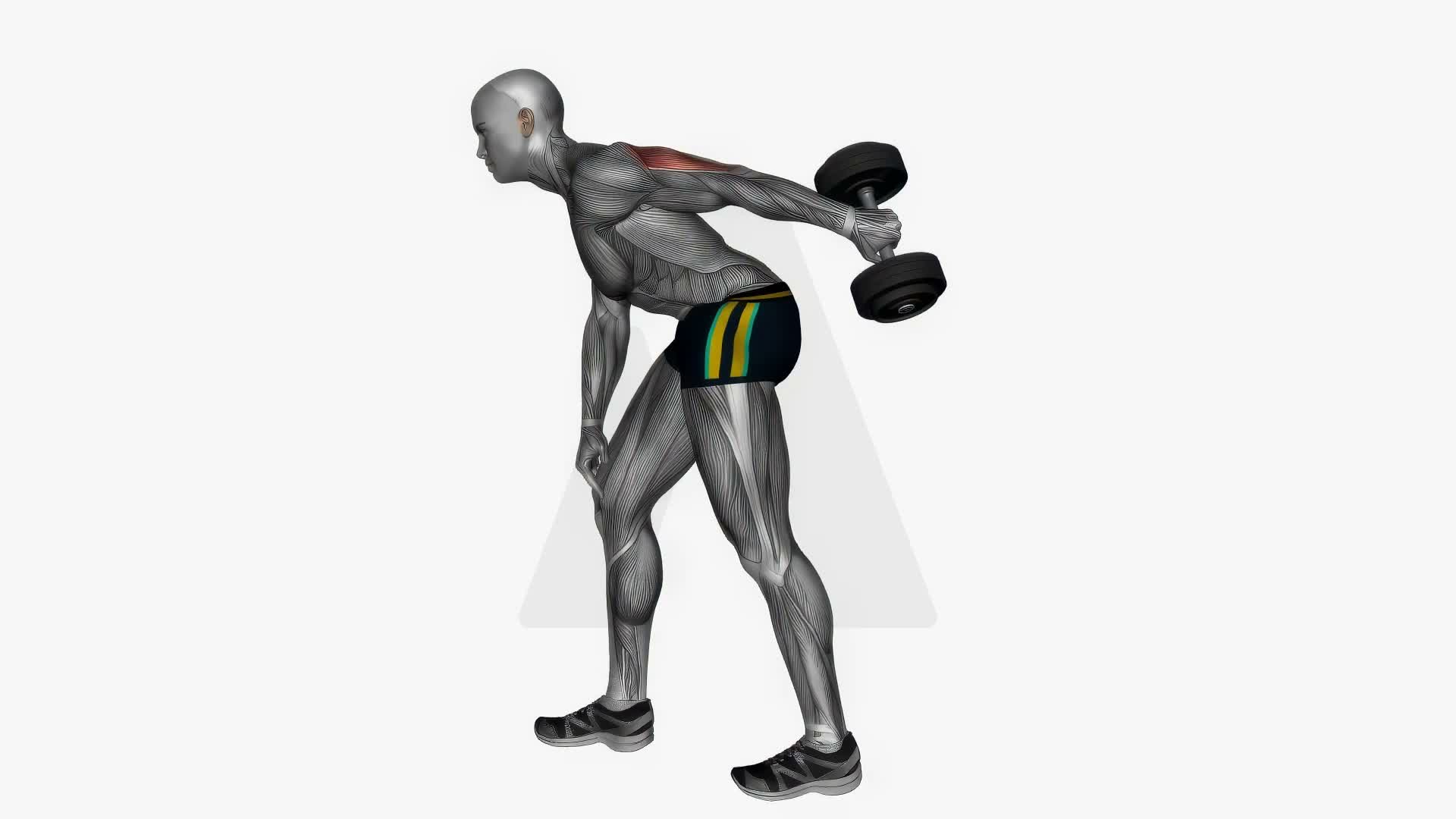 Dumbbell Triceps Kick Back Single Arm exercise demonstration