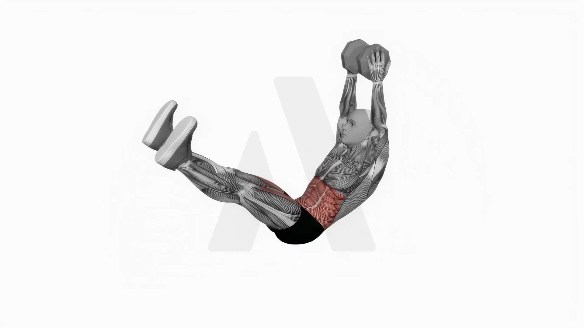 Dumbbell V Up exercise demonstration