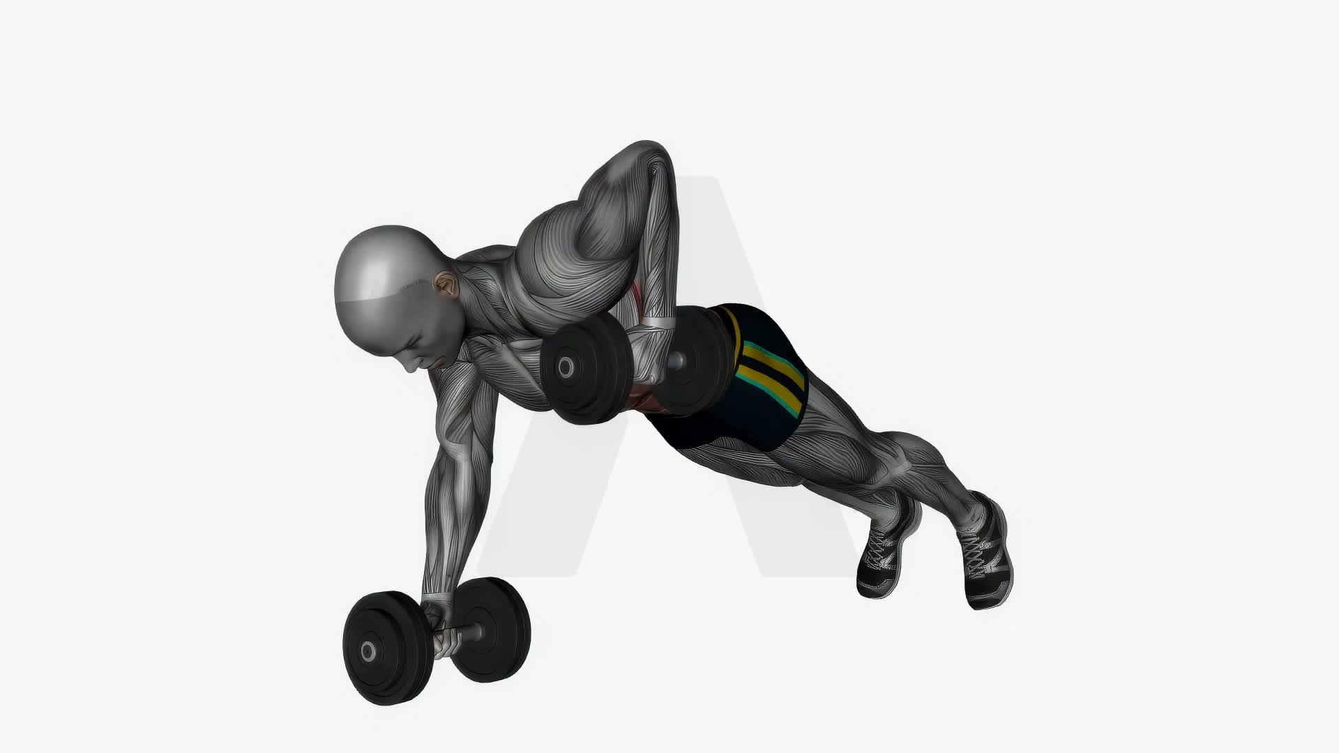 Dumbbells Plank To Alternating Row exercise demonstration