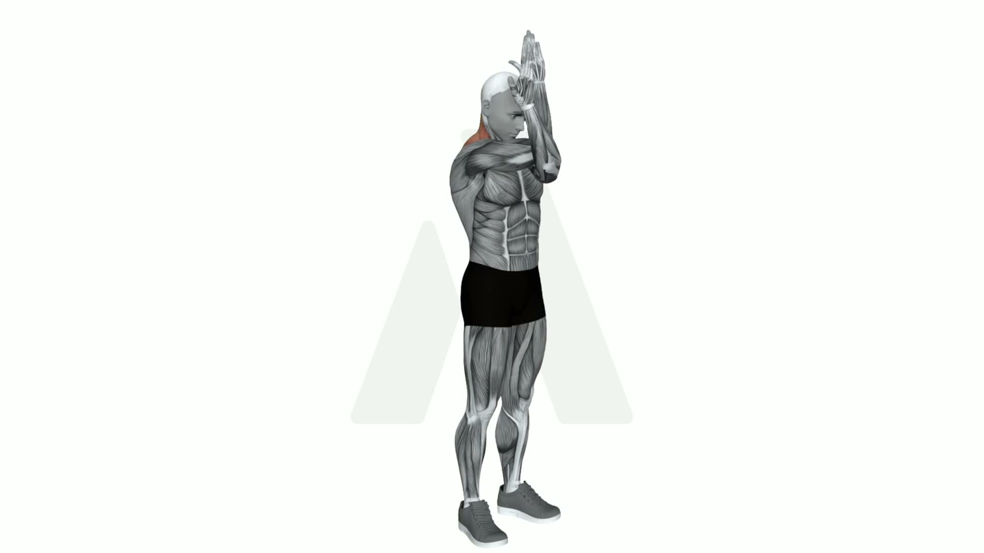 Eagle Arms Chin Into Chest exercise demonstration