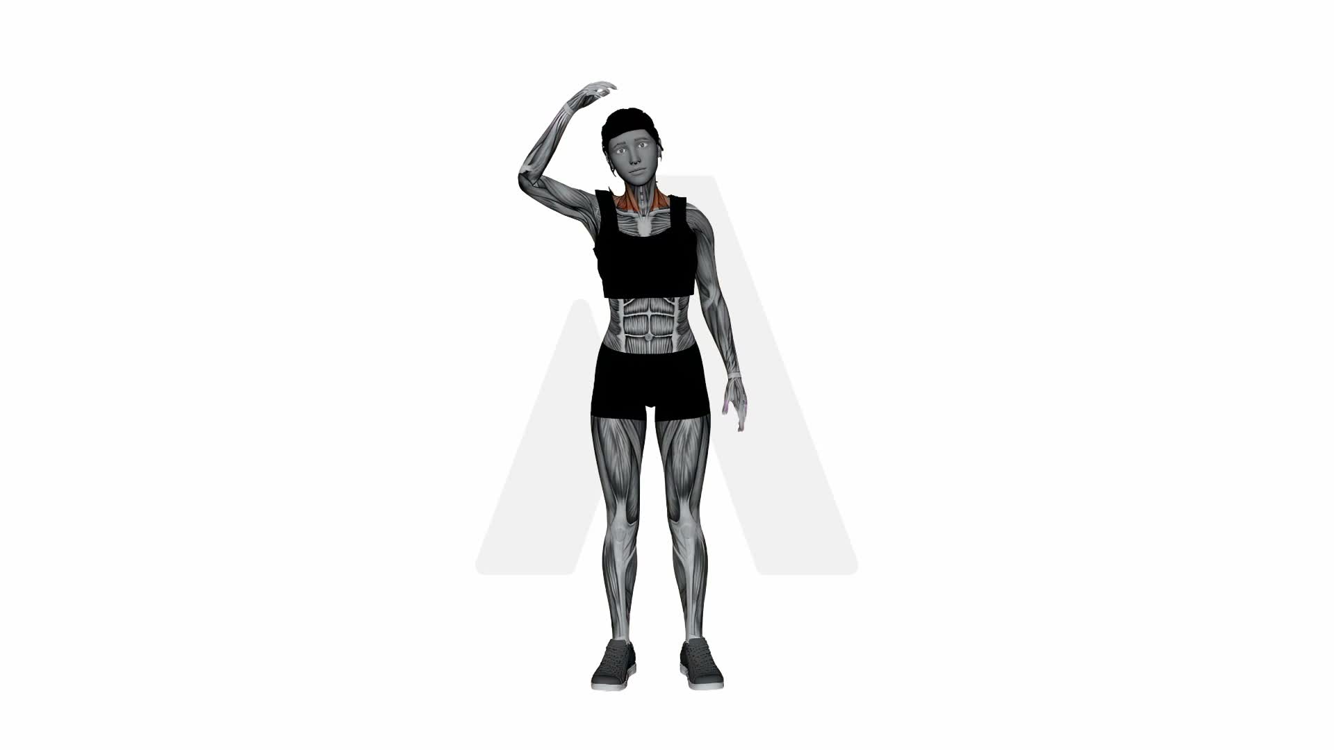 Easy Pose Neck Stretch exercise demonstration