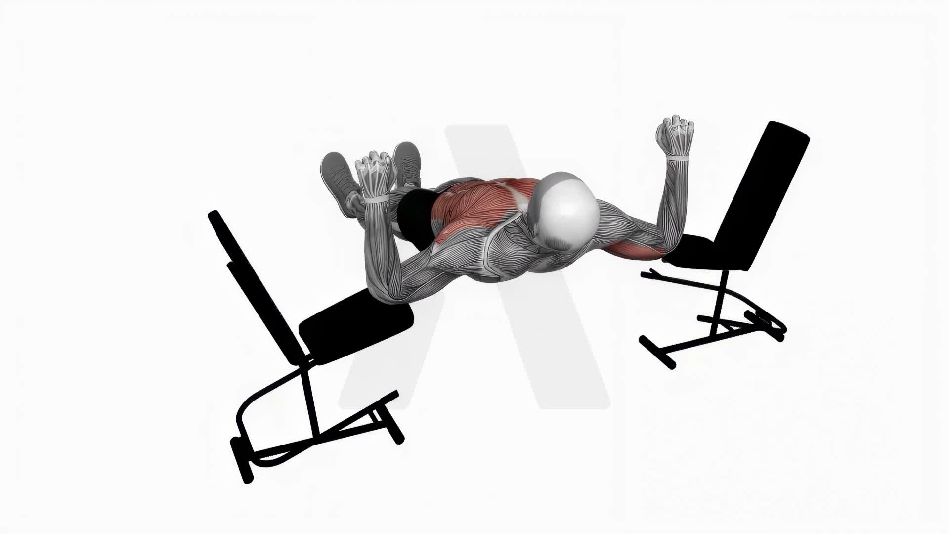 Elbow Lift Reverse Push Up exercise demonstration