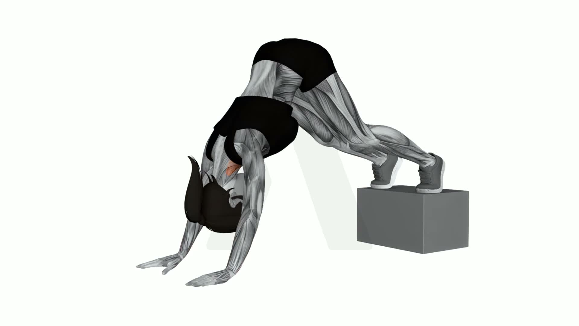 Elevated Pike Shoulder Shrug exercise demonstration