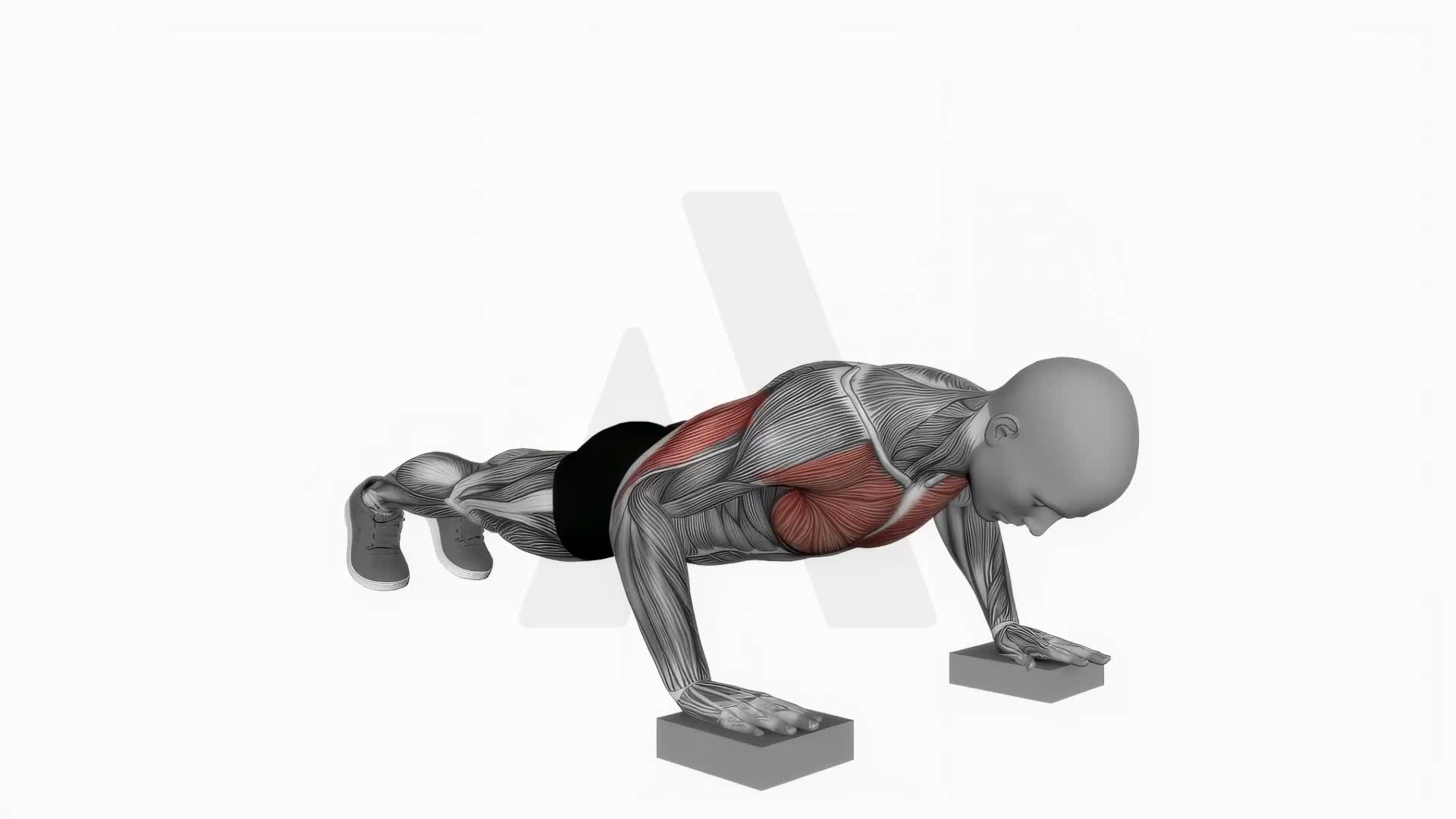 Elevated Push Up exercise demonstration