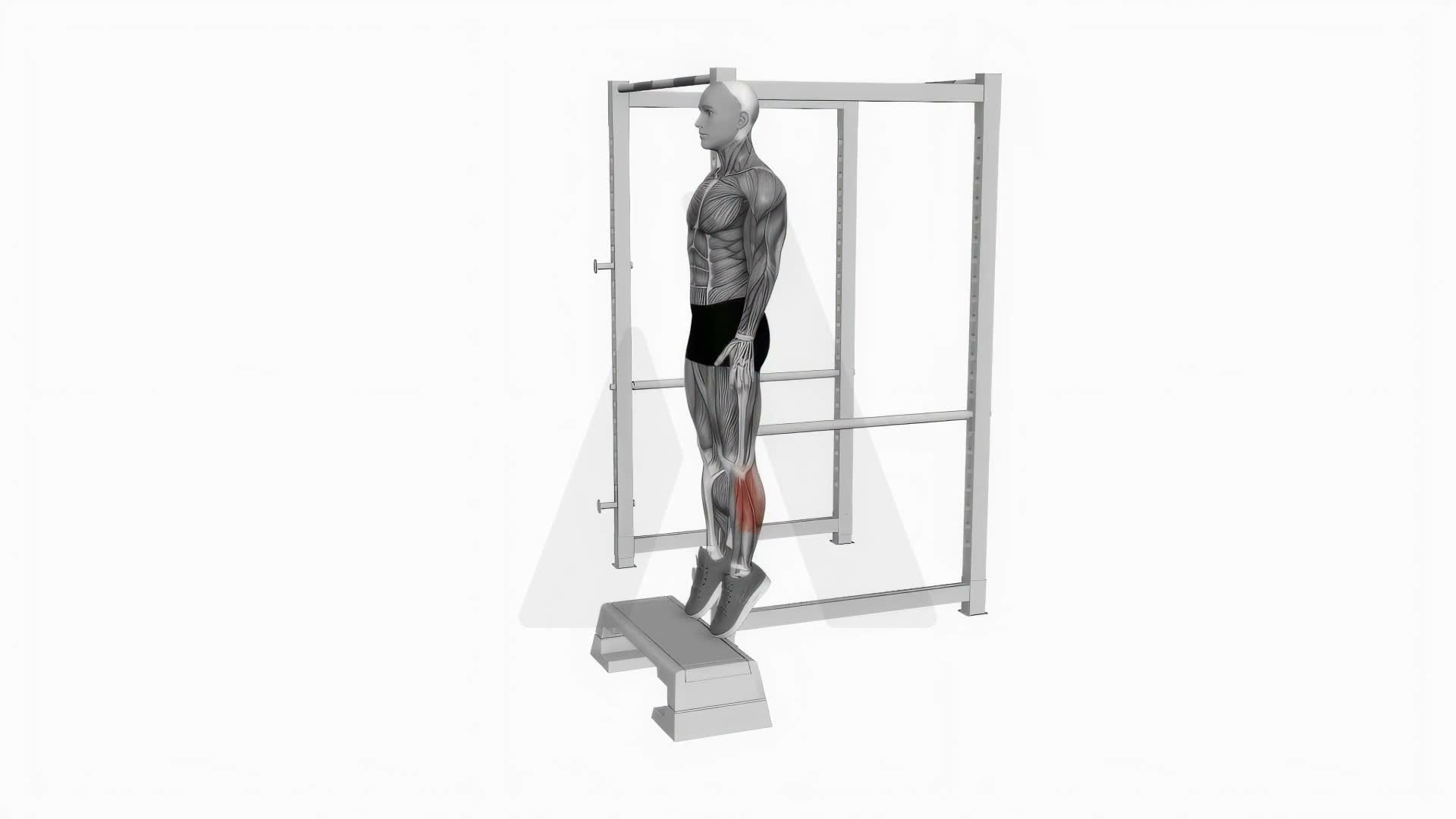 Elevated Standing Calf Raise exercise demonstration