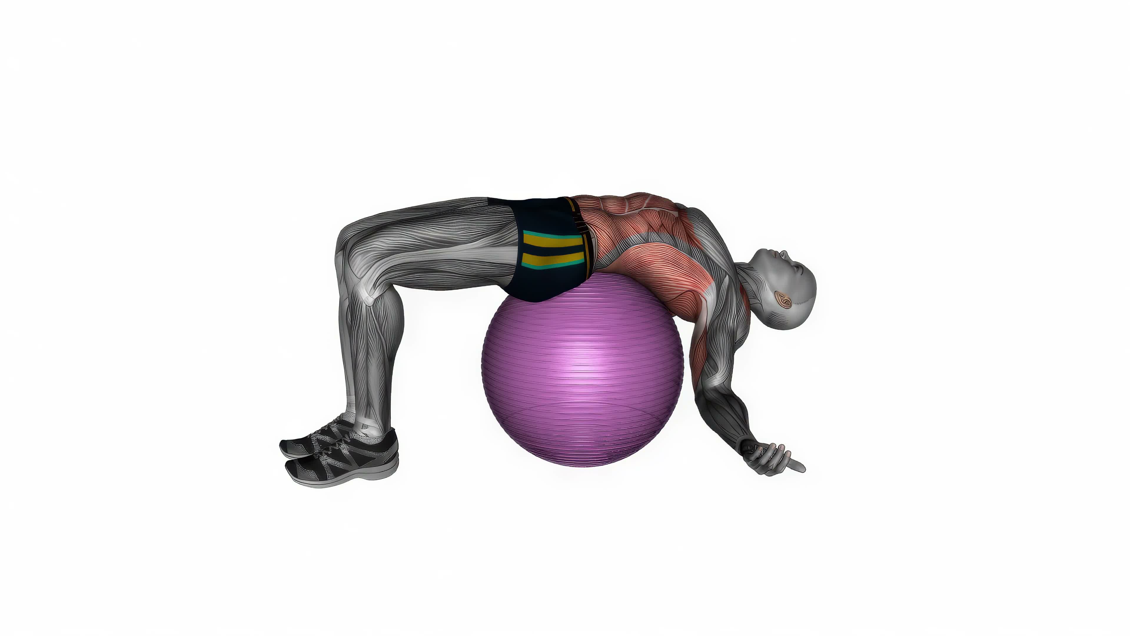 Exercise Ball Back Stretch exercise demonstration