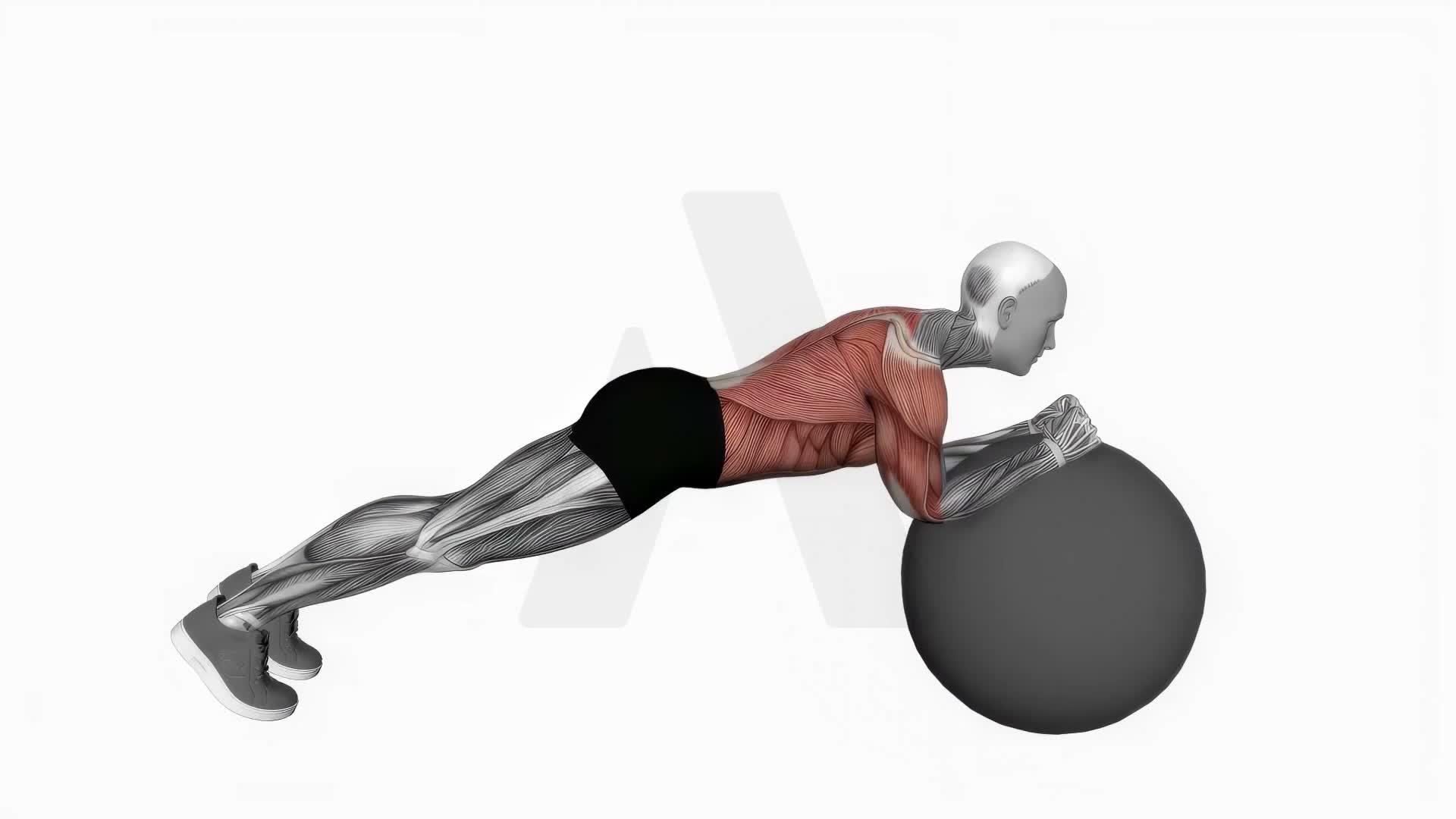 Exercise Ball Body Saw exercise demonstration