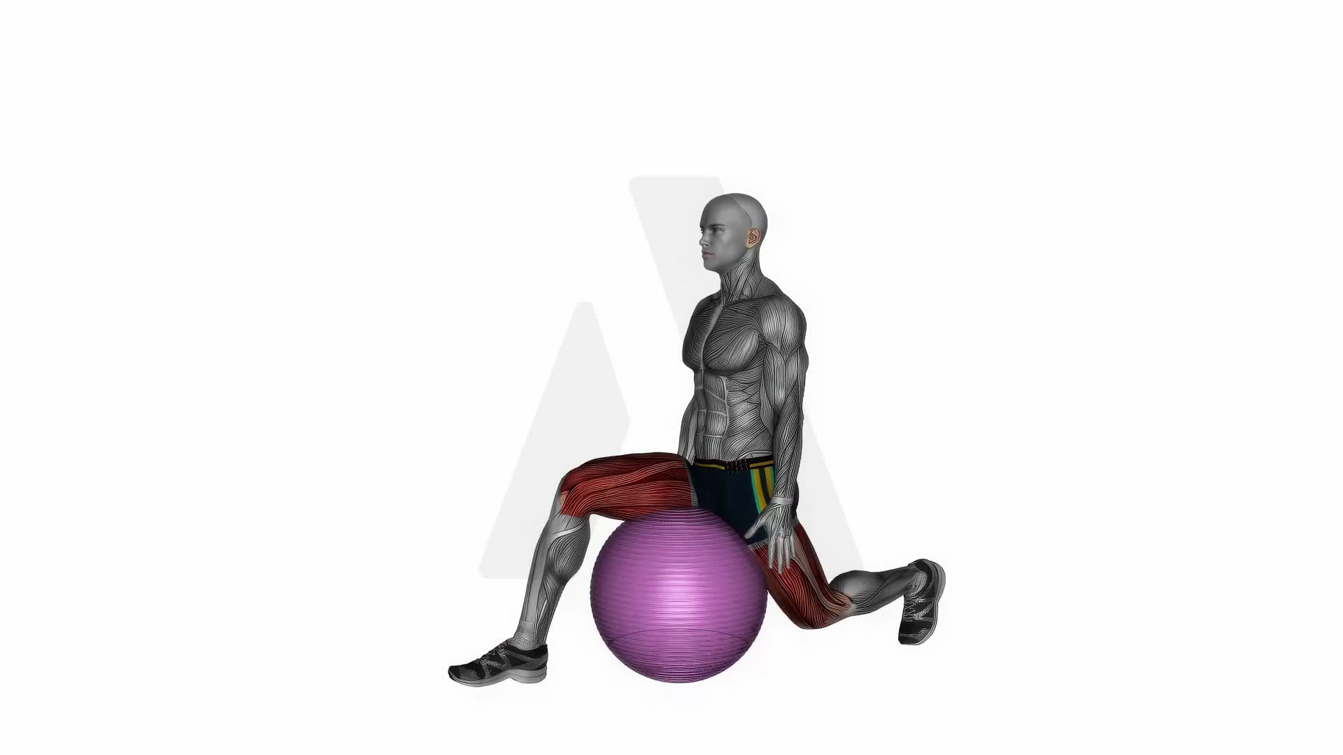 Exercise Ball Hip Flexor Stretch exercise demonstration