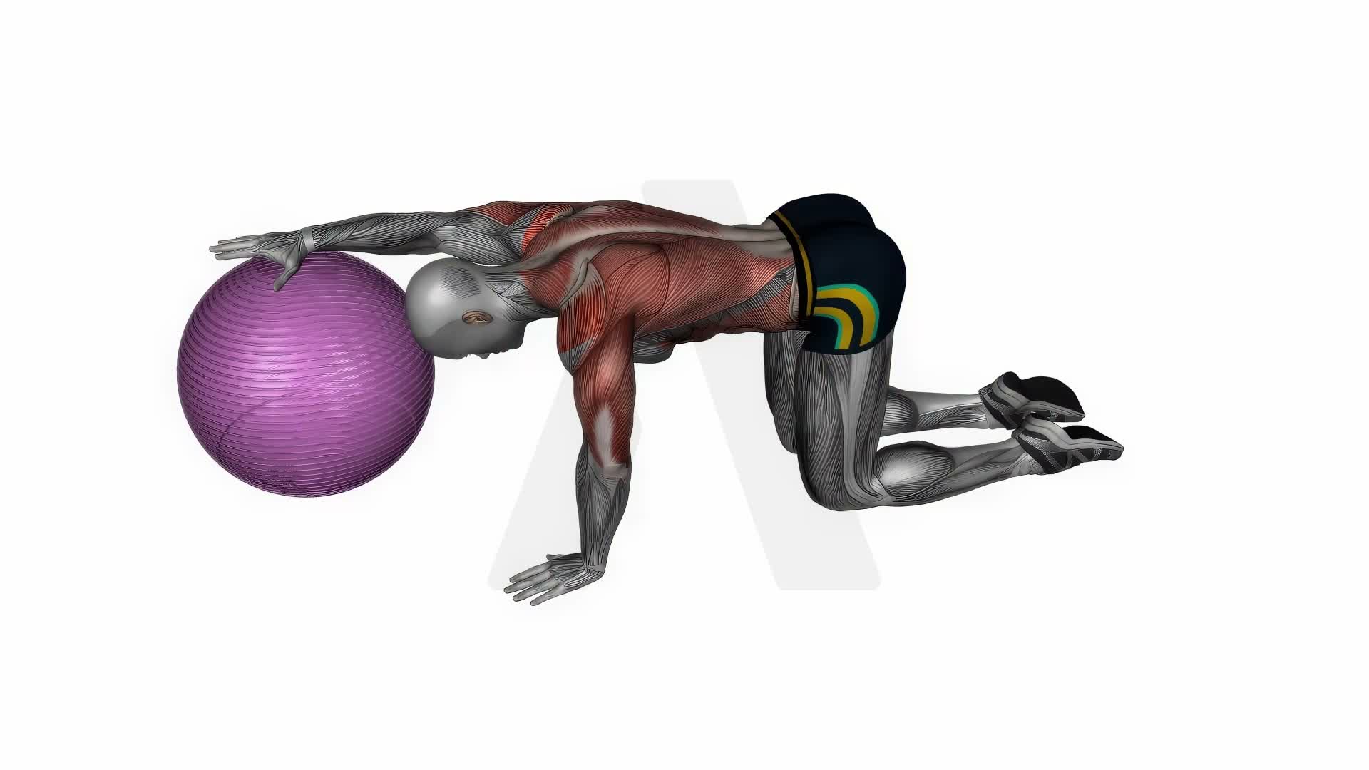 Exercise Ball Lat Stretch exercise demonstration