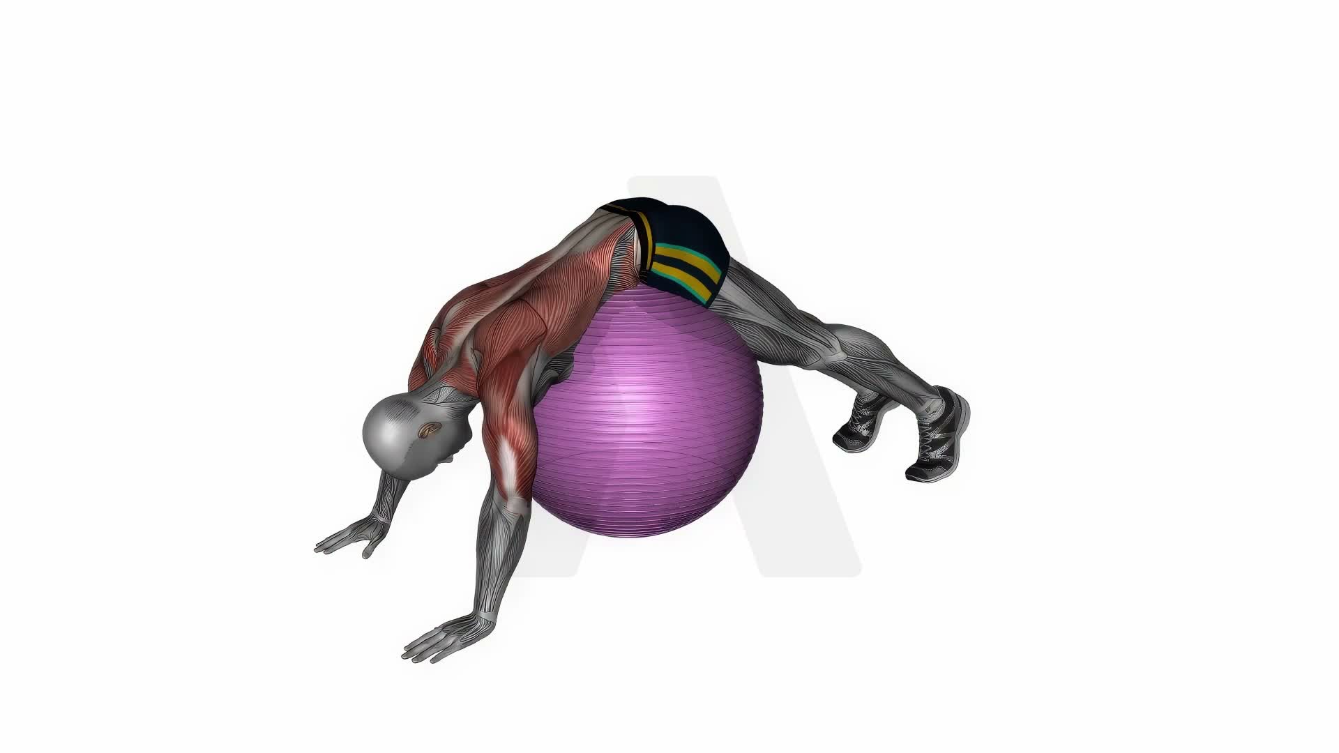 Exercise Ball Lower Back Dynamic Stretch exercise demonstration