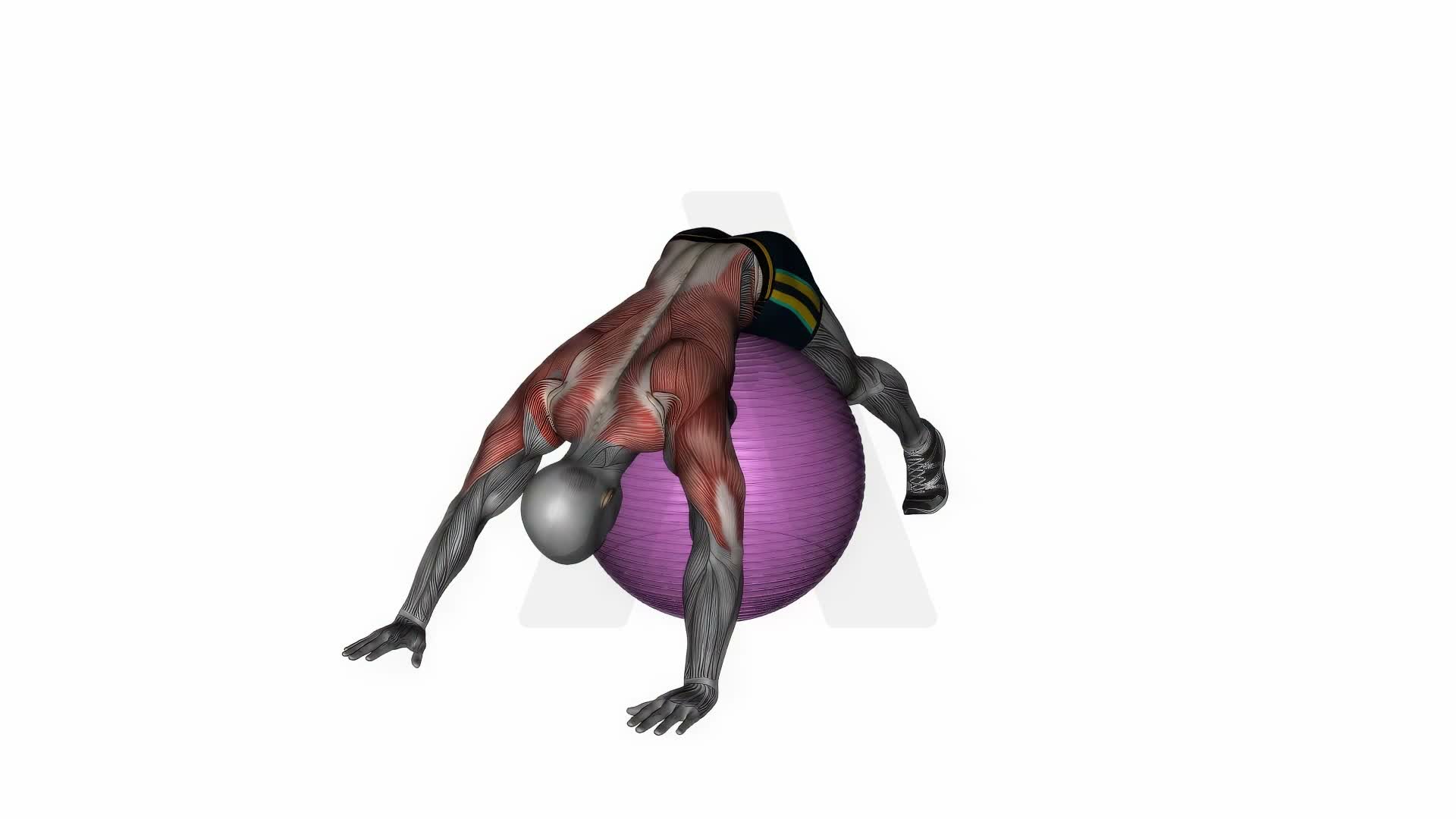 Exercise Ball Lower Back Prone Stretch exercise demonstration