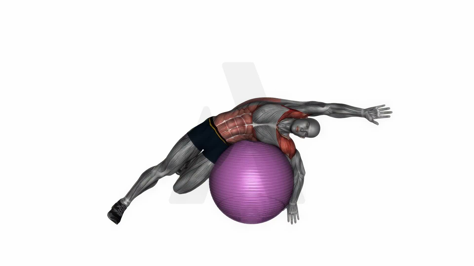 Exercise Ball Lying Side Lat Stretch exercise demonstration