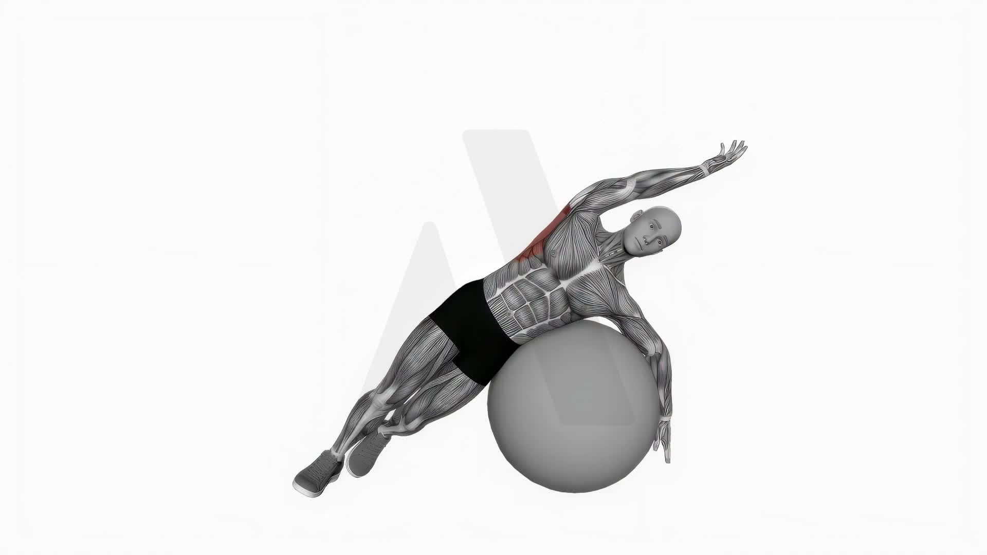Exercise Ball Lying Side Lat Stretch V.2 exercise demonstration