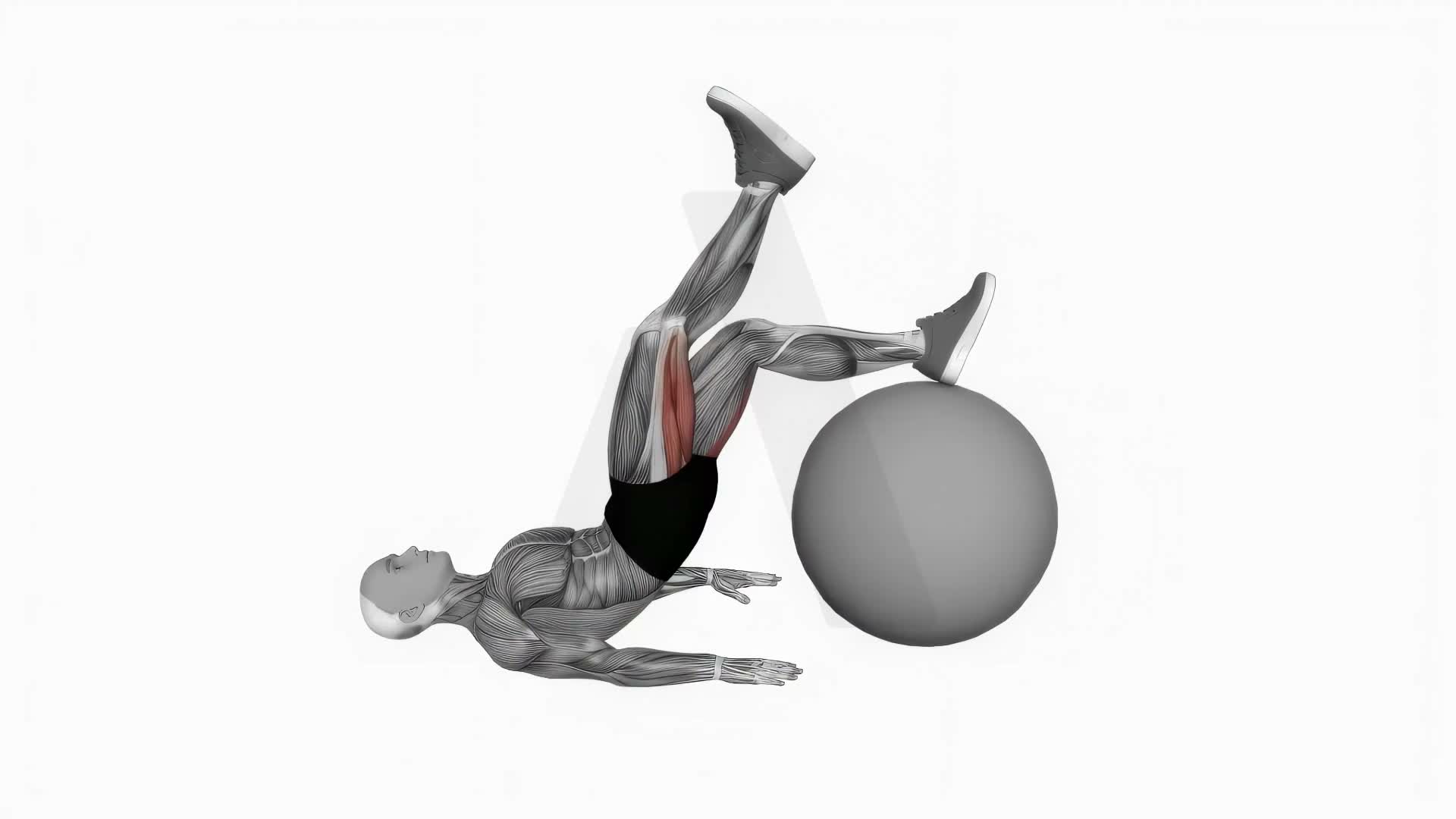Exercise Ball One Legged Diagonal Kick Hamstring Curl exercise demonstration