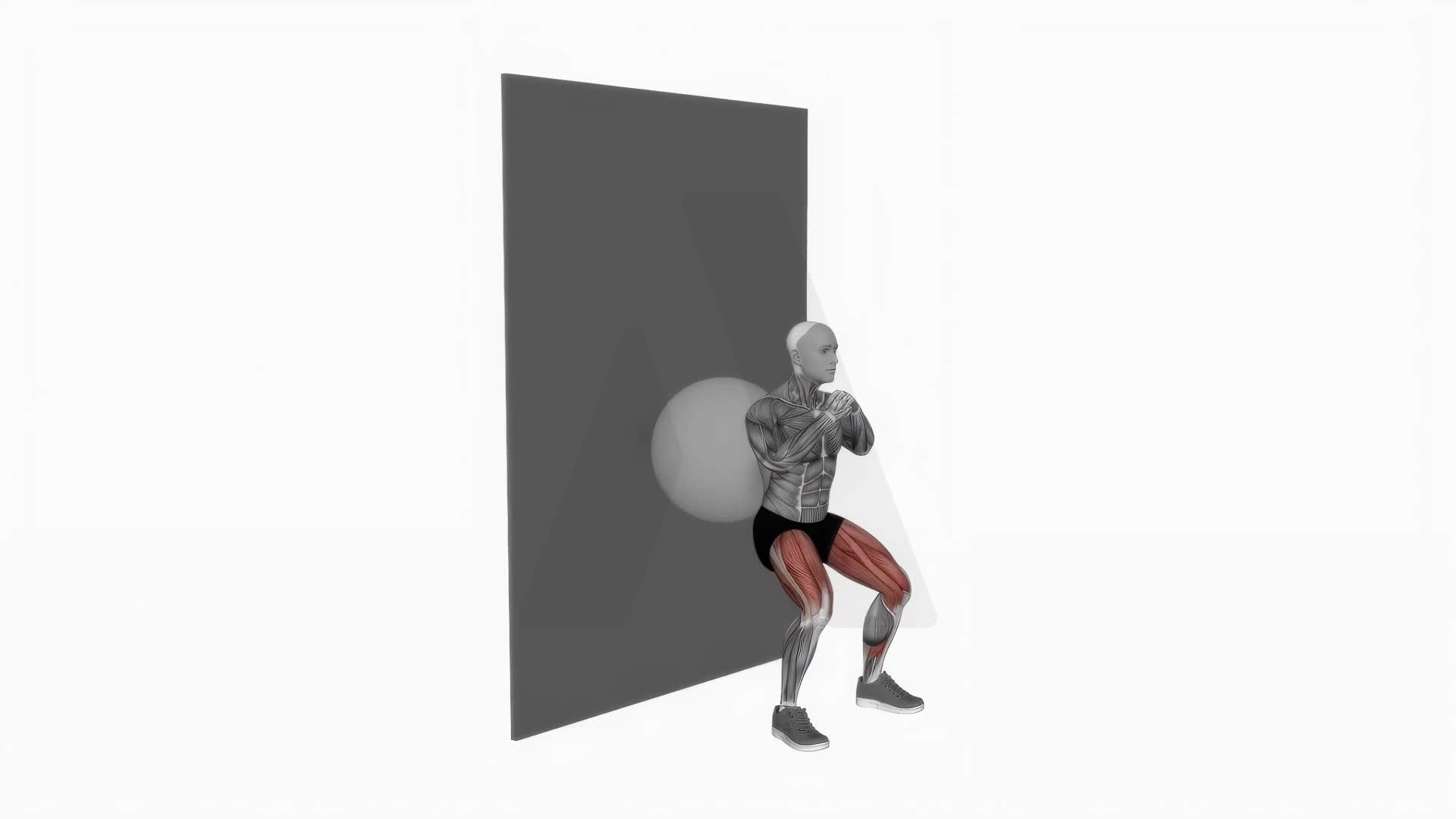 Exercise Ball Wall Squat exercise demonstration