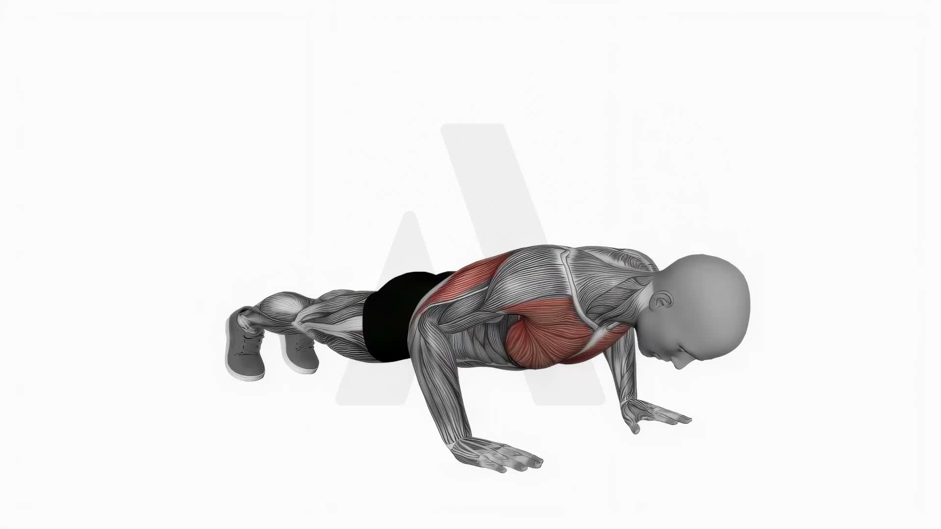 Explosive Push Ups exercise demonstration