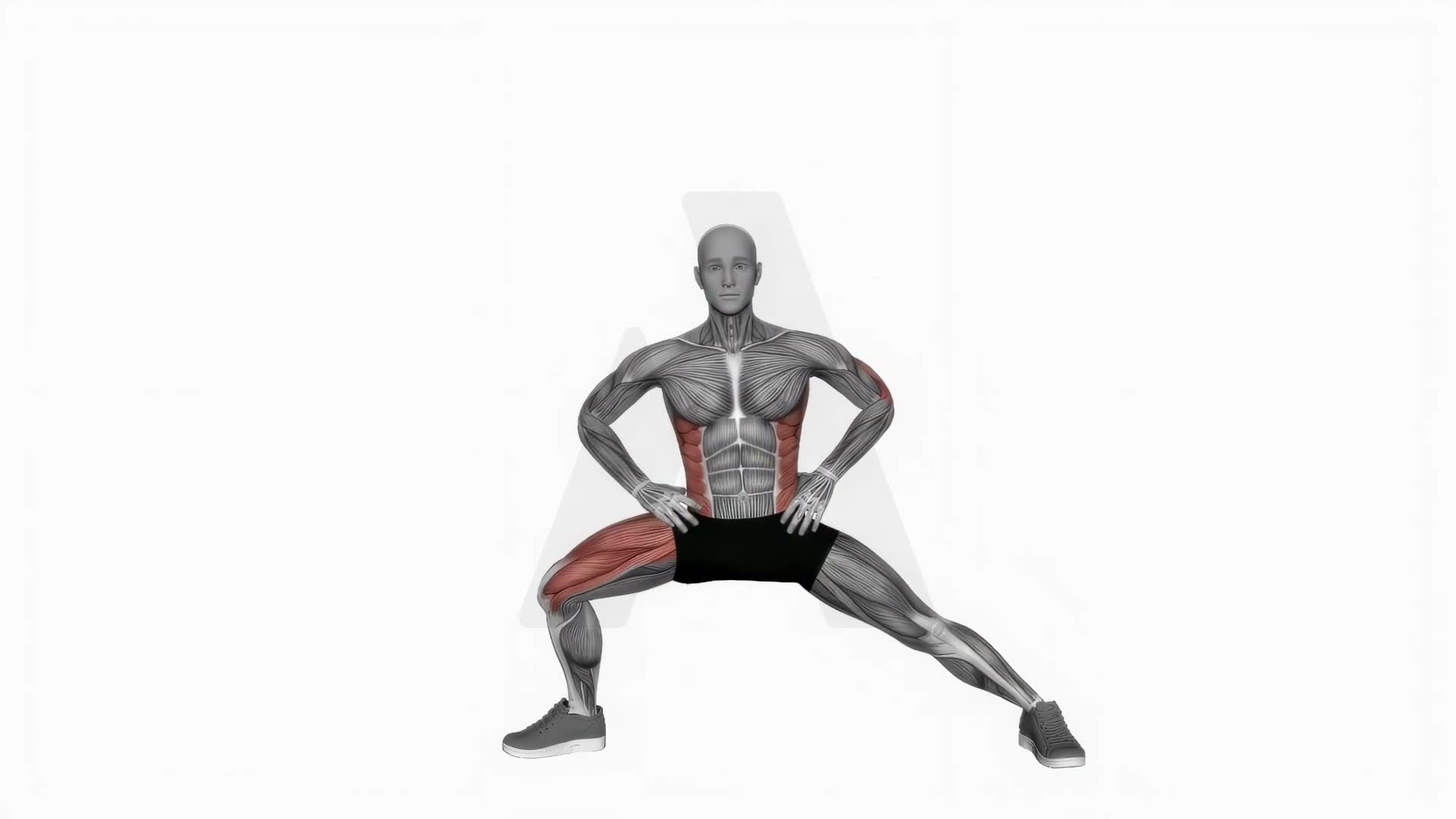 Extended Side Angle exercise demonstration