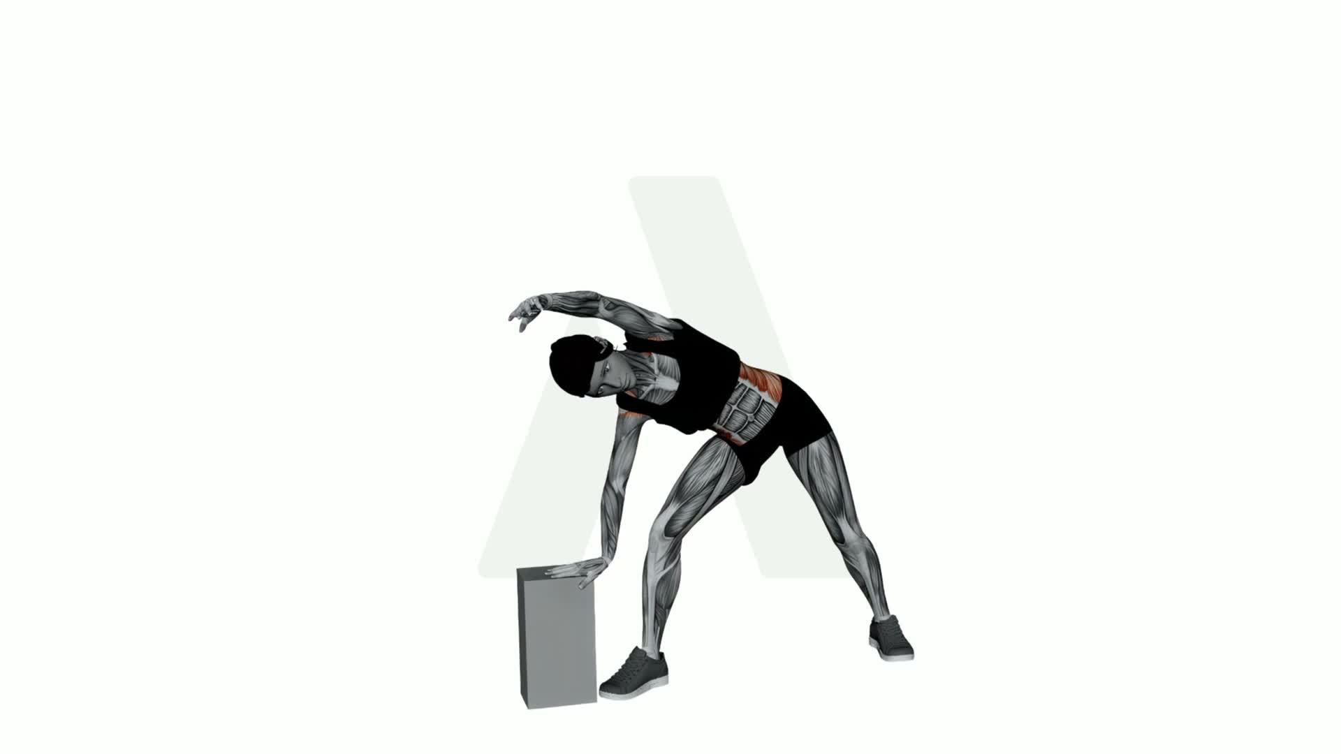 Extended Side Angle Pose With Block exercise demonstration