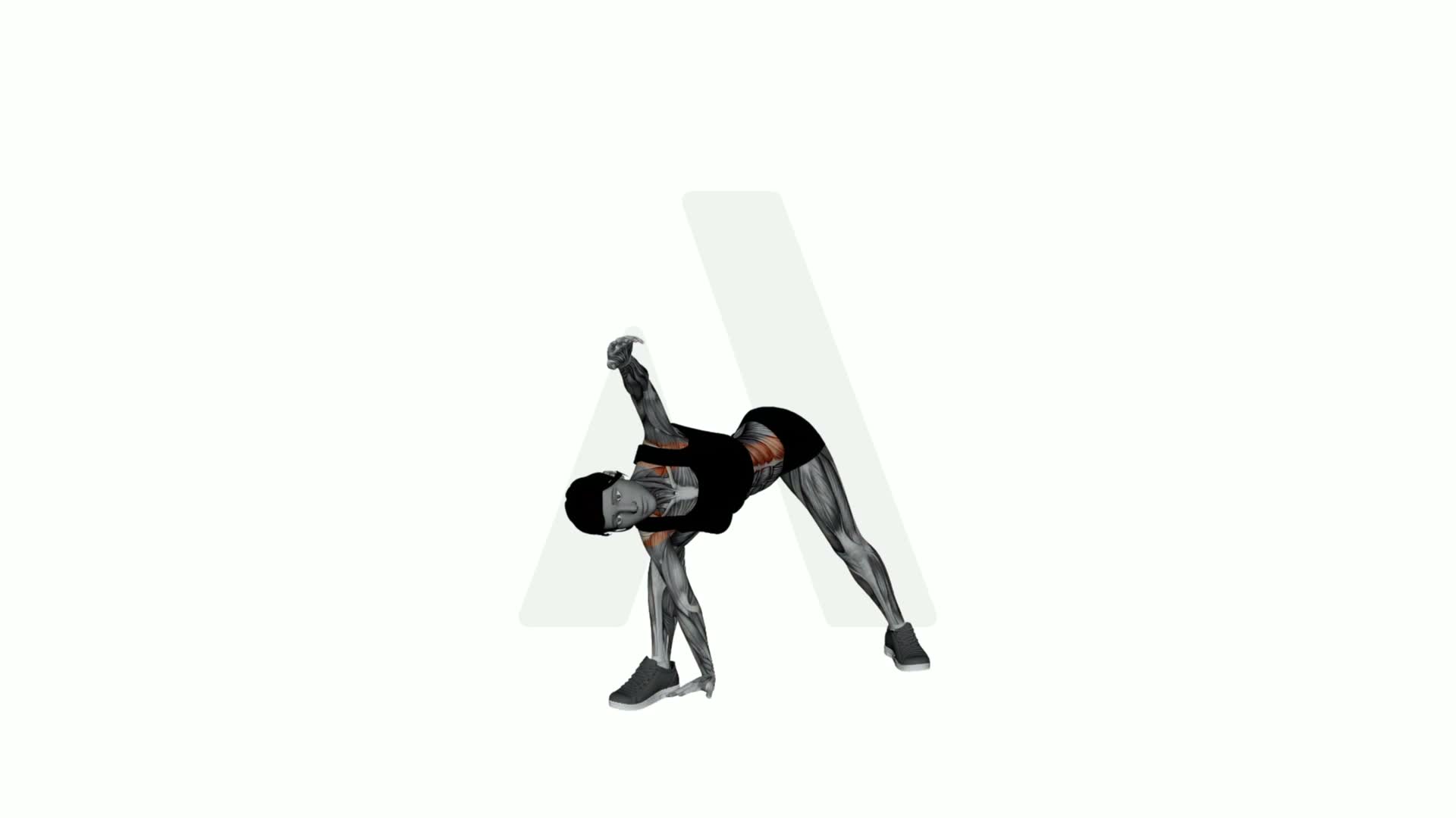 Extended Side Angle Pose exercise demonstration